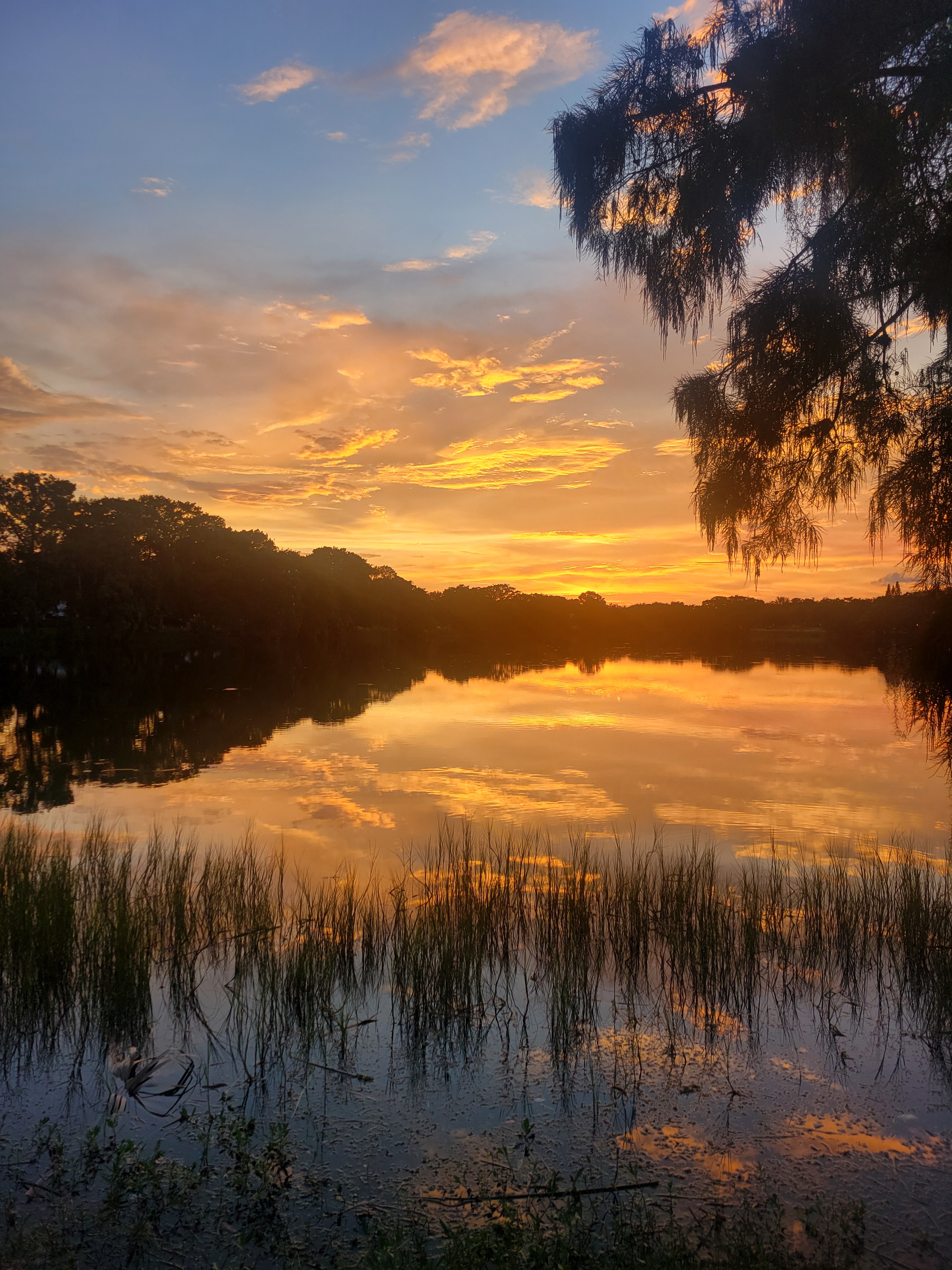 Breathtaking Sunset Over Lake Adair in Orlando, FL