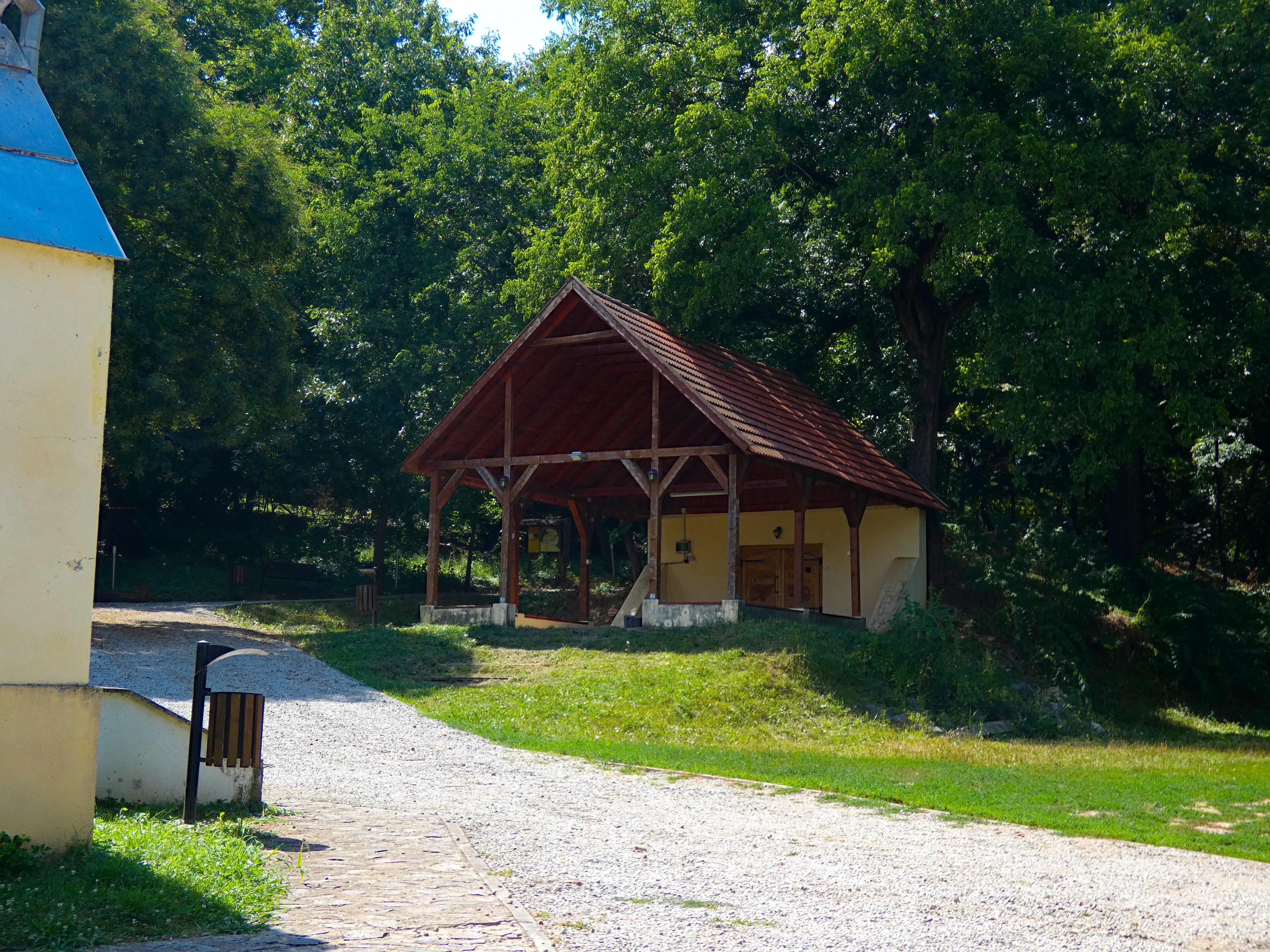 A Charming Wooden Shelter Hidden in a Lush Forest