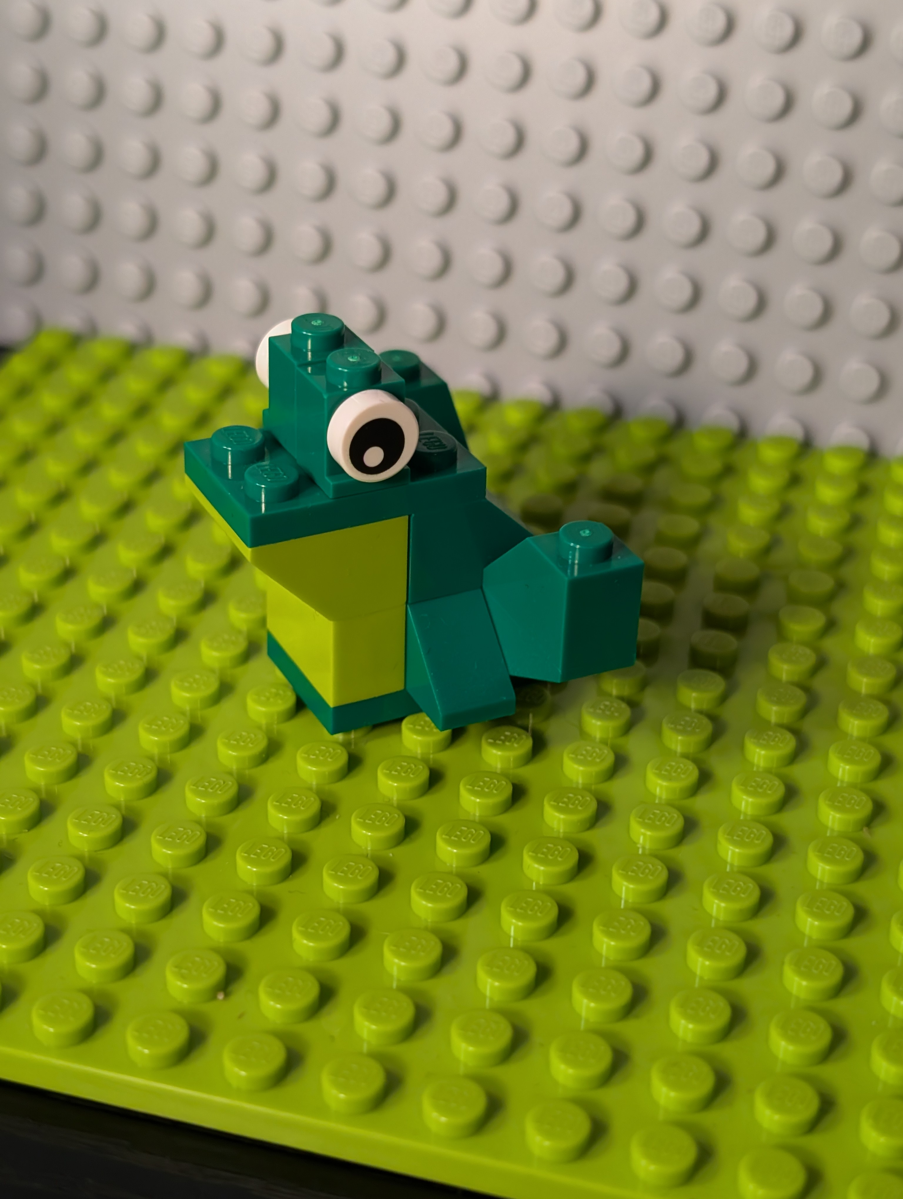 Meet the adorable LEGO Frog (10698)!