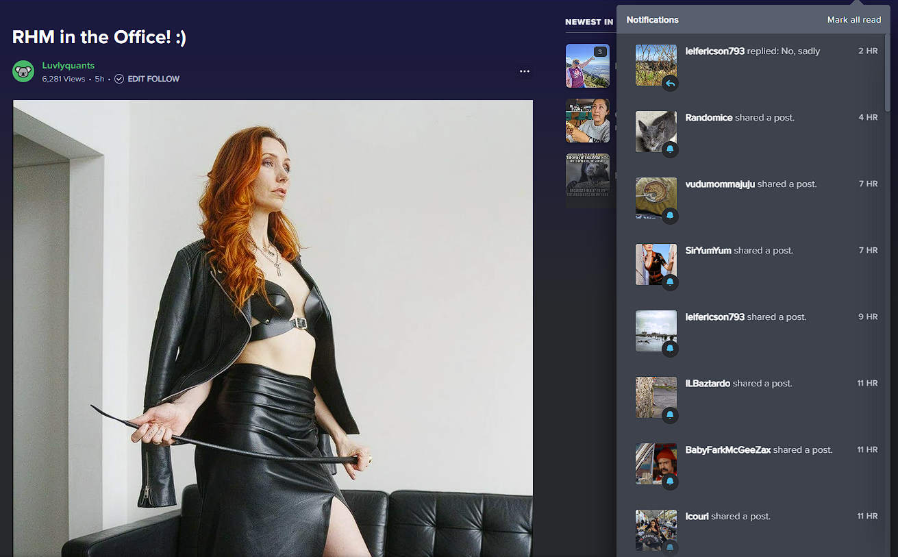 Is Imgur really shadow banning users?