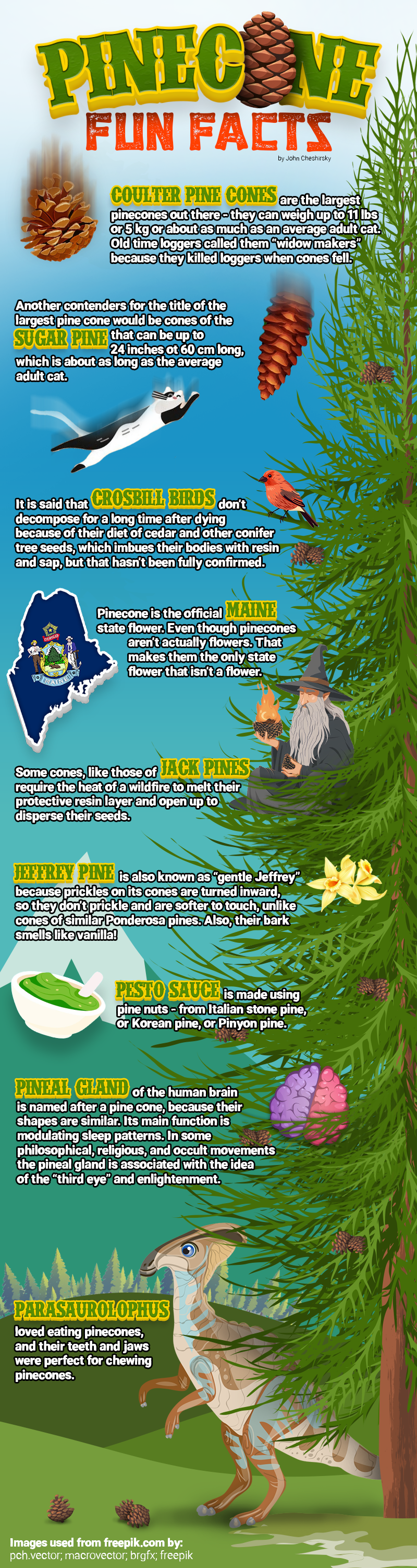 Fun Pinecone Facts for All Team Pinecone Members