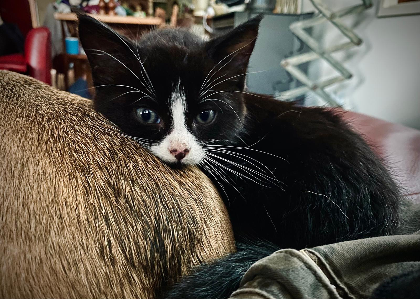 Feeling Tiny After a Long, Tough Day
