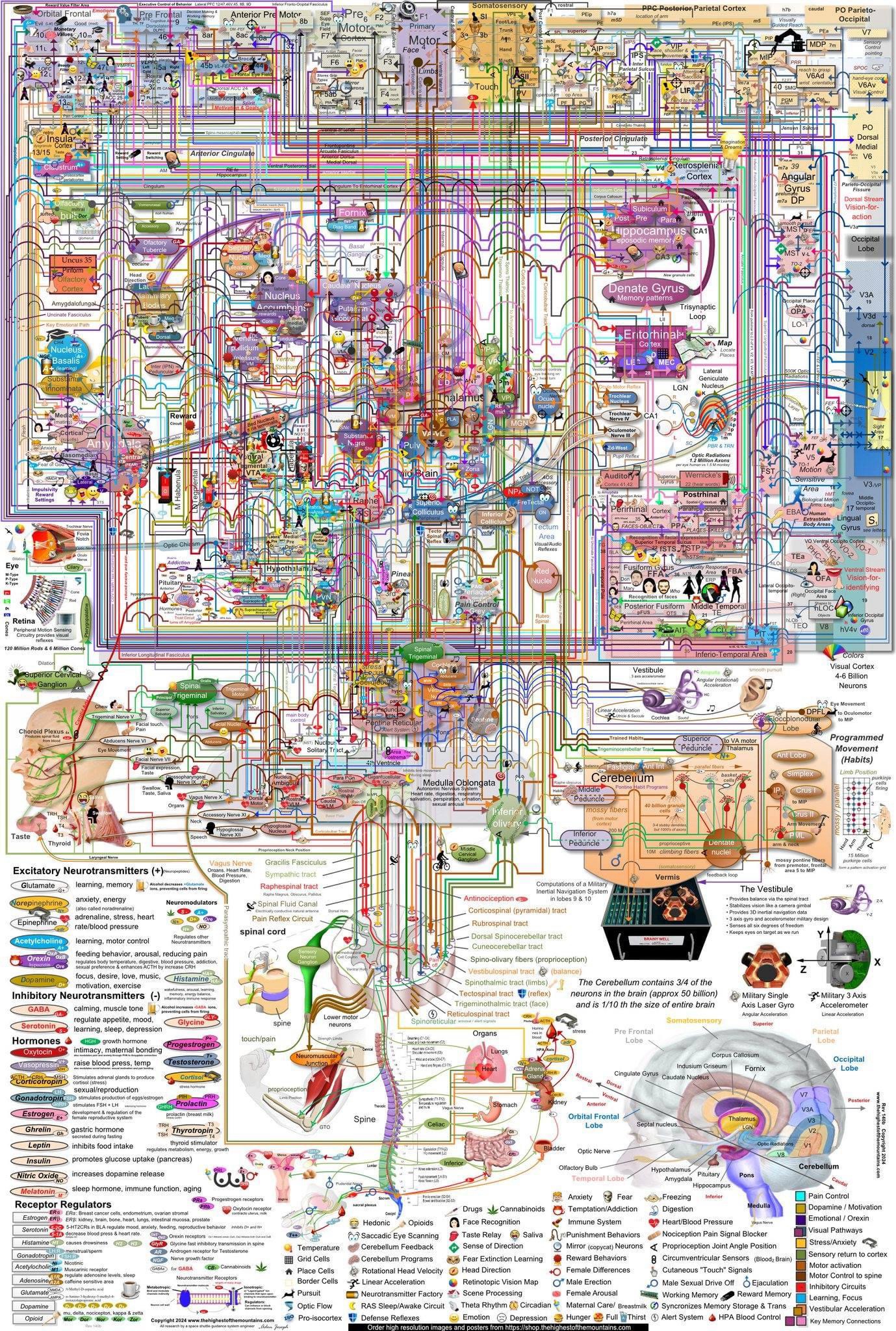 Memorize This for Tomorrow: A Pop Quiz Awaits!