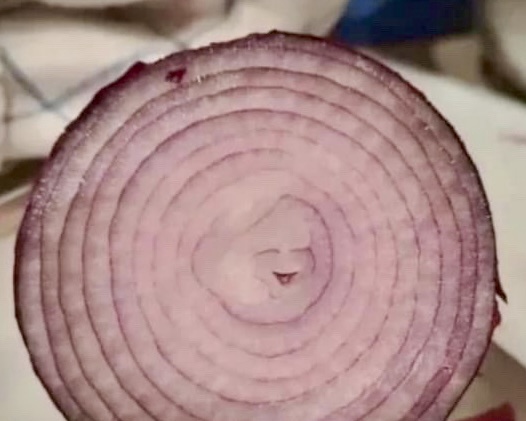 Don't overlook the cheerful little red onion for a day full of joy!