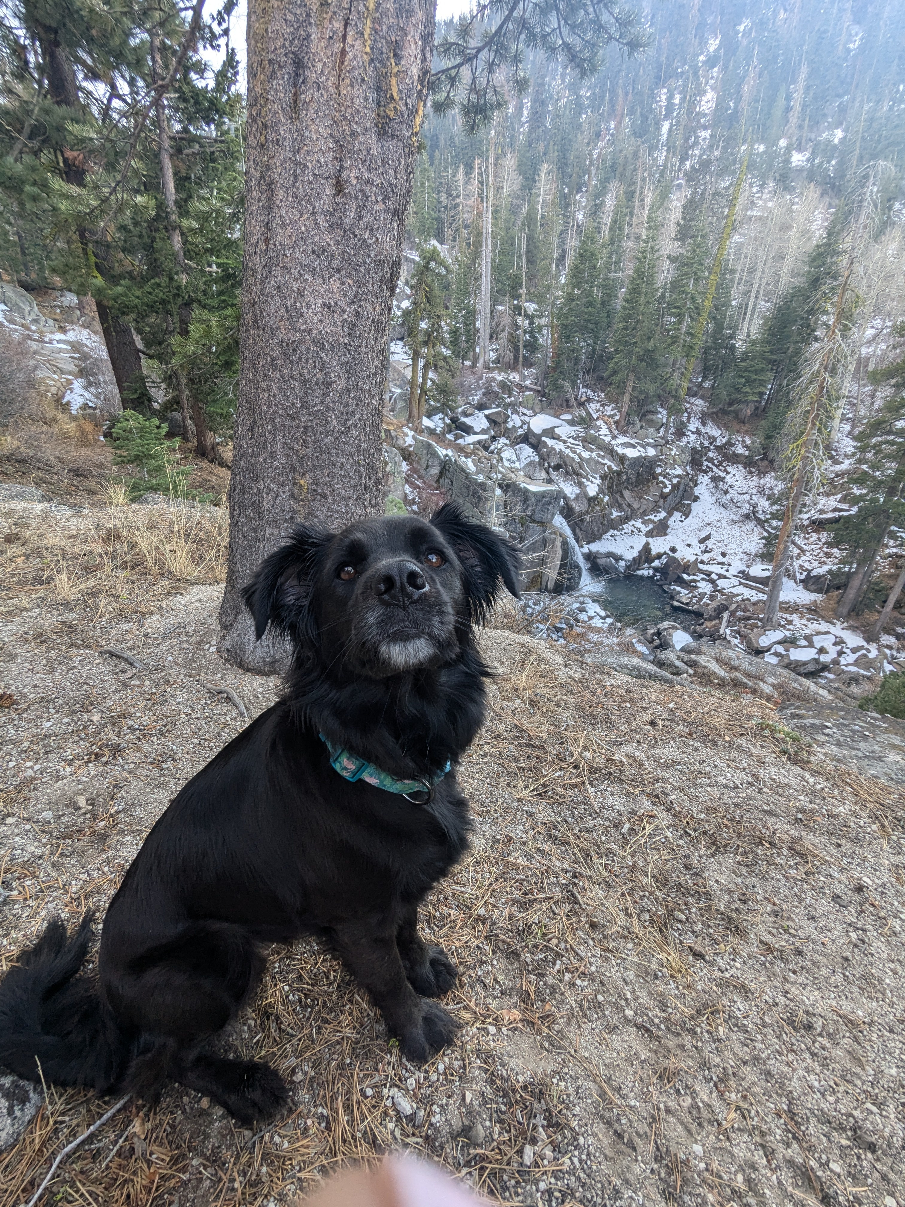 Pando's Exciting First Big Adventure Awaits!