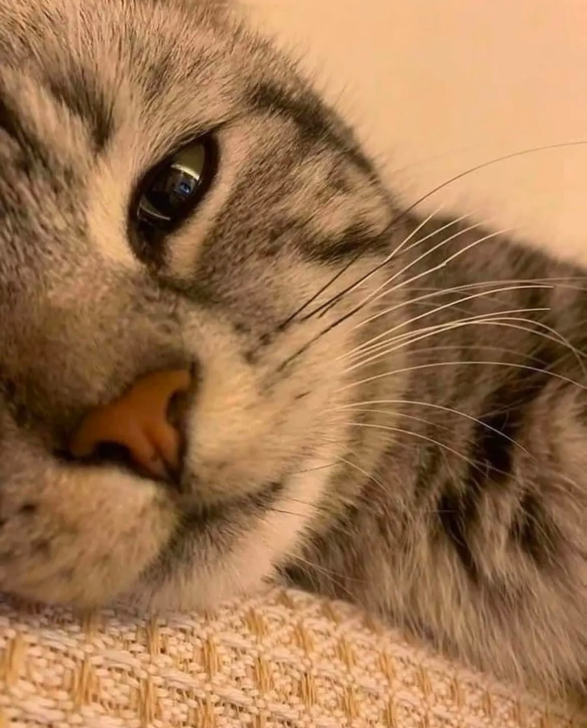 Just a Casual Hello