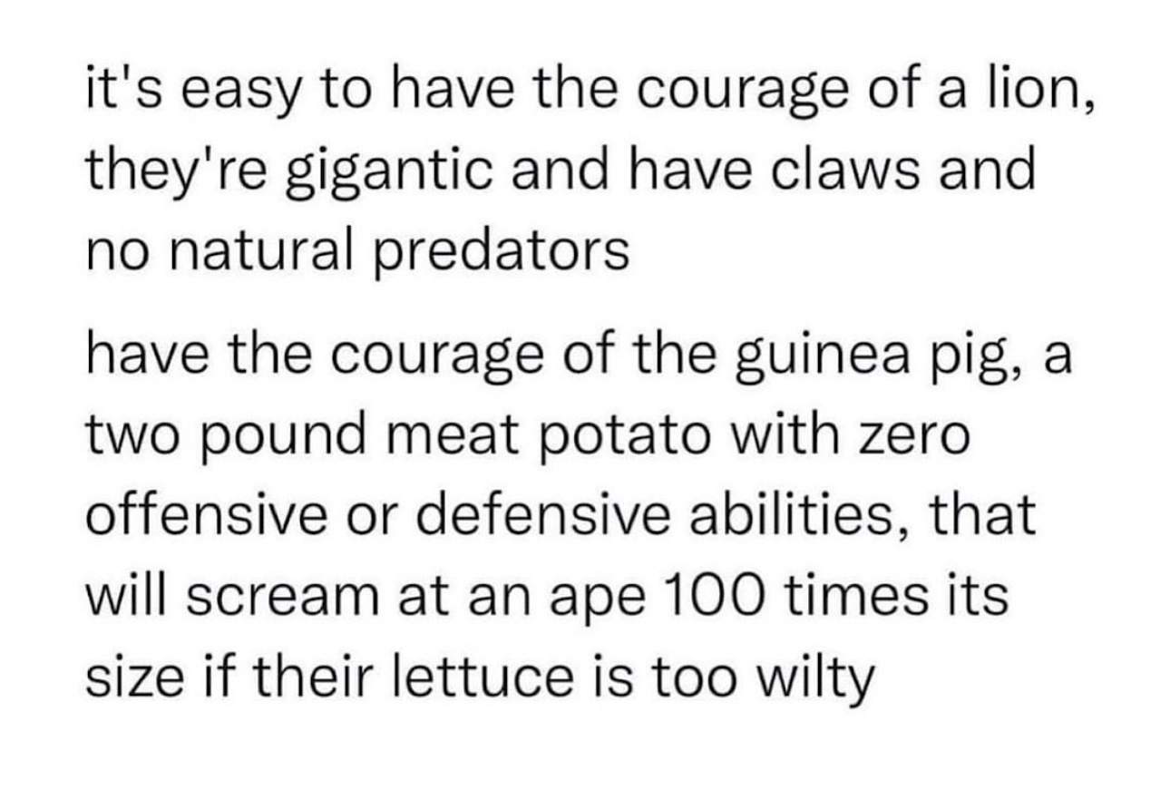 The Brave Little Guinea Pig: A Tale of Courage