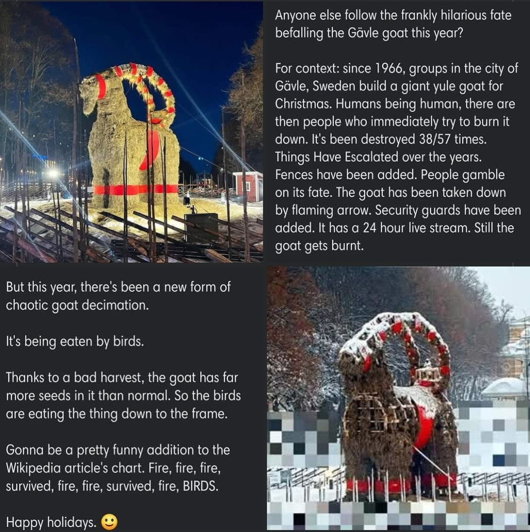 The Epic Showdown: Yule Goat vs. Birds!