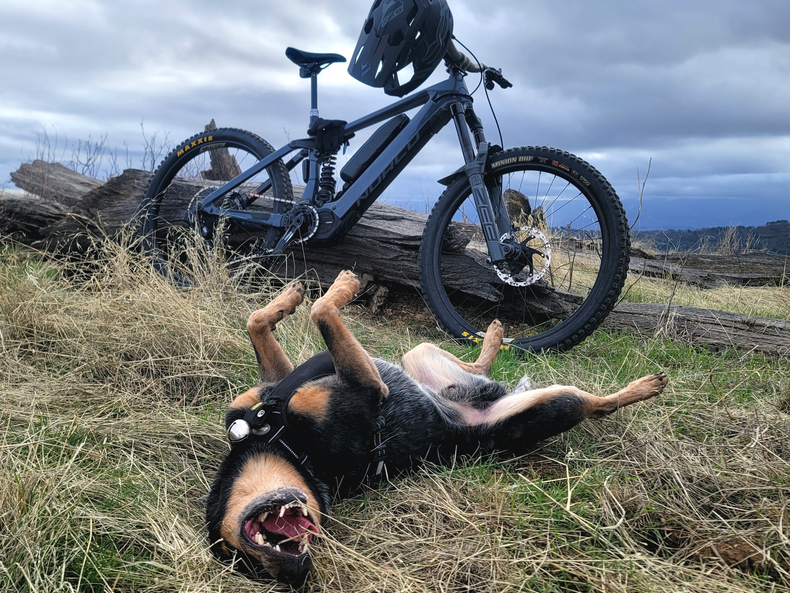 My First Ebike Adventure in Six Months: A Journey to Remember