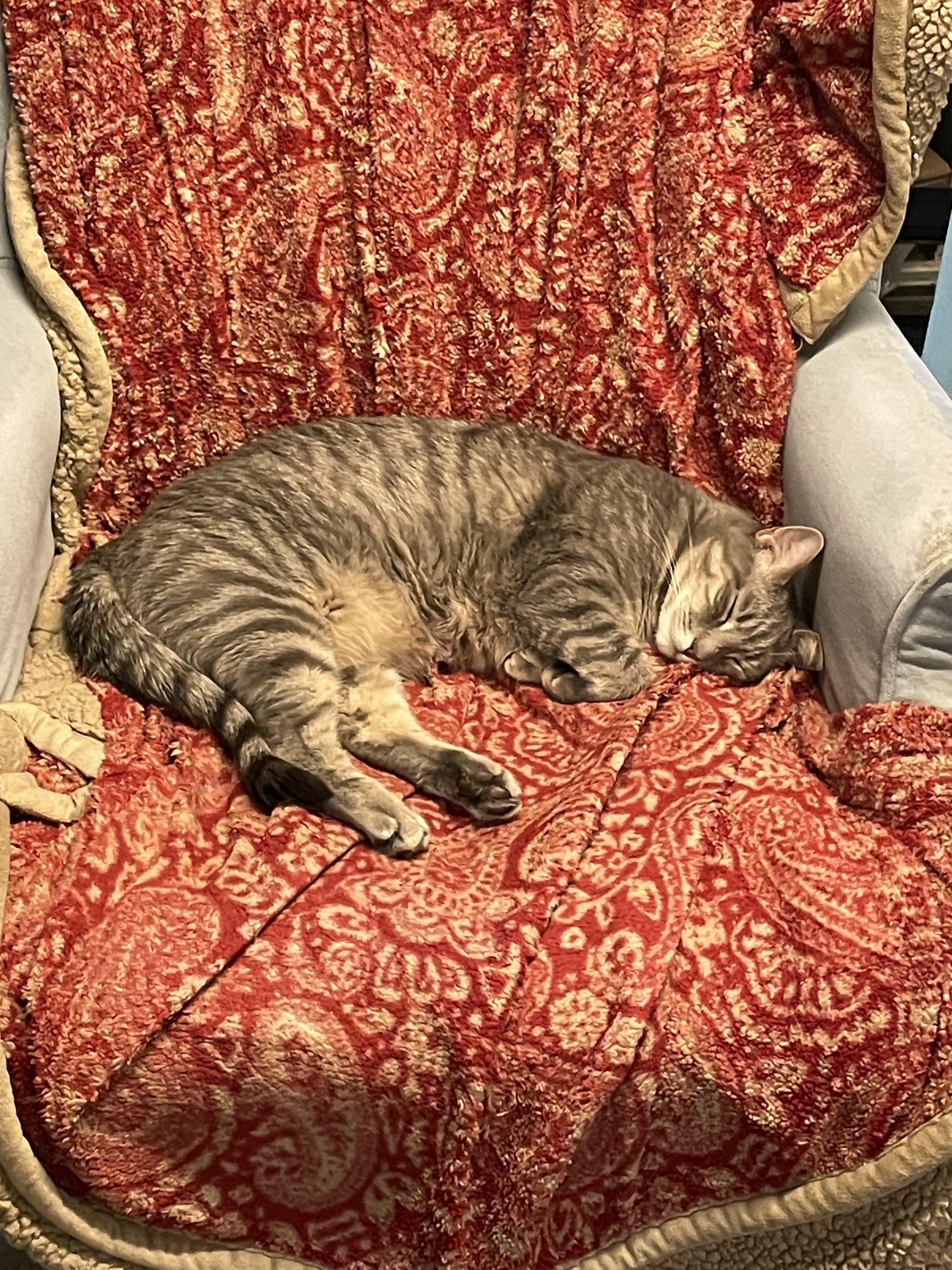It's Caturday, and with the cold weather, it's all about cozy snoozing