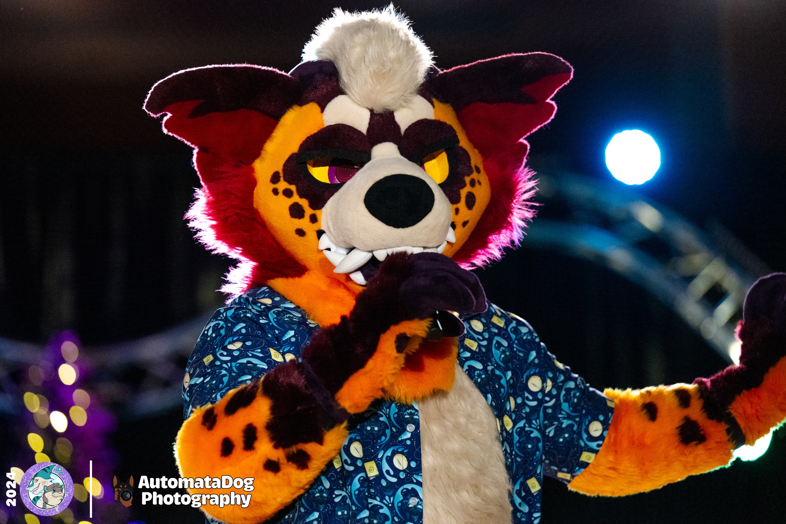 Daily Dose of Furry Photography - Day 422