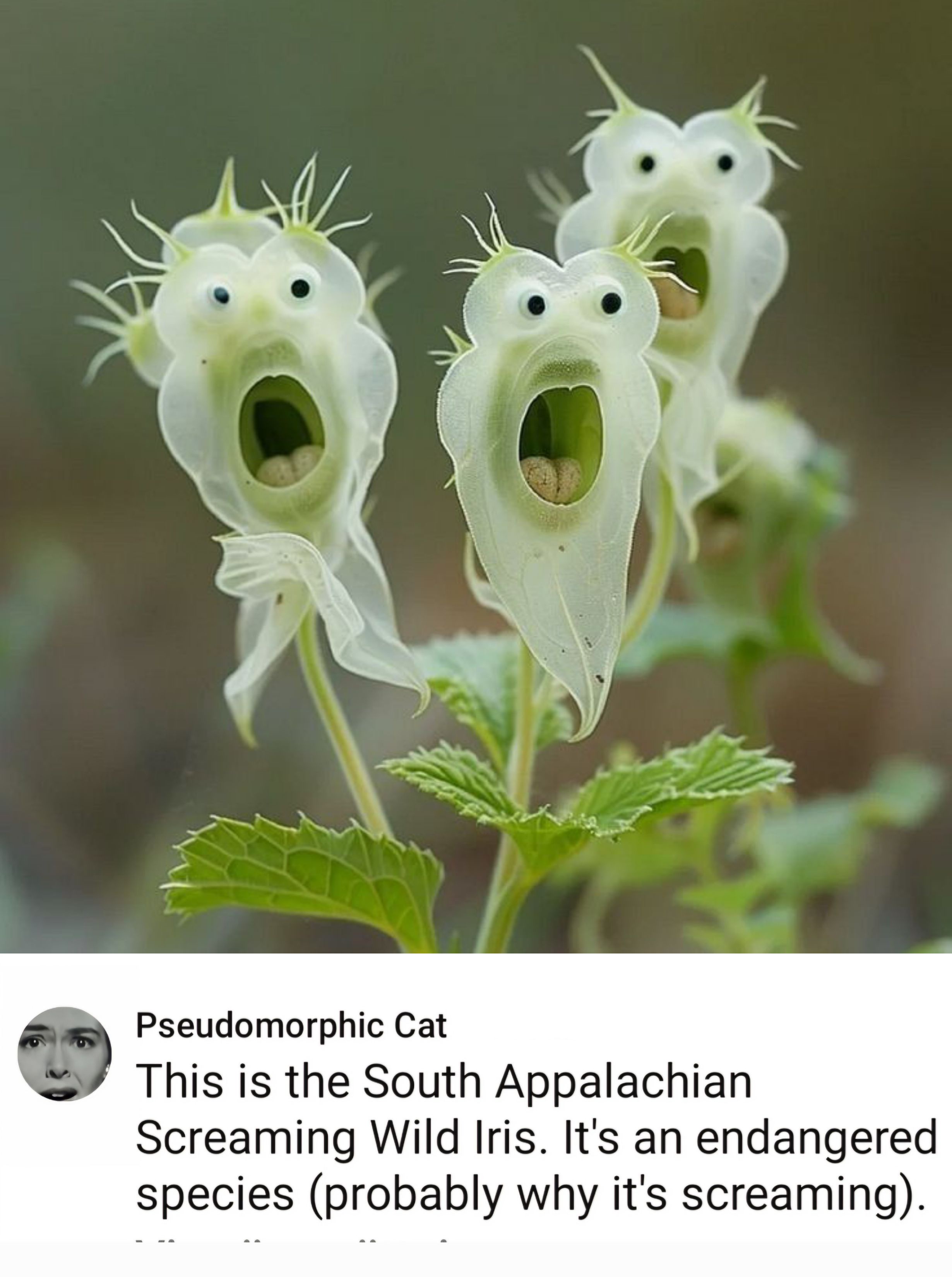 This AI-generated image made me laugh out loud!