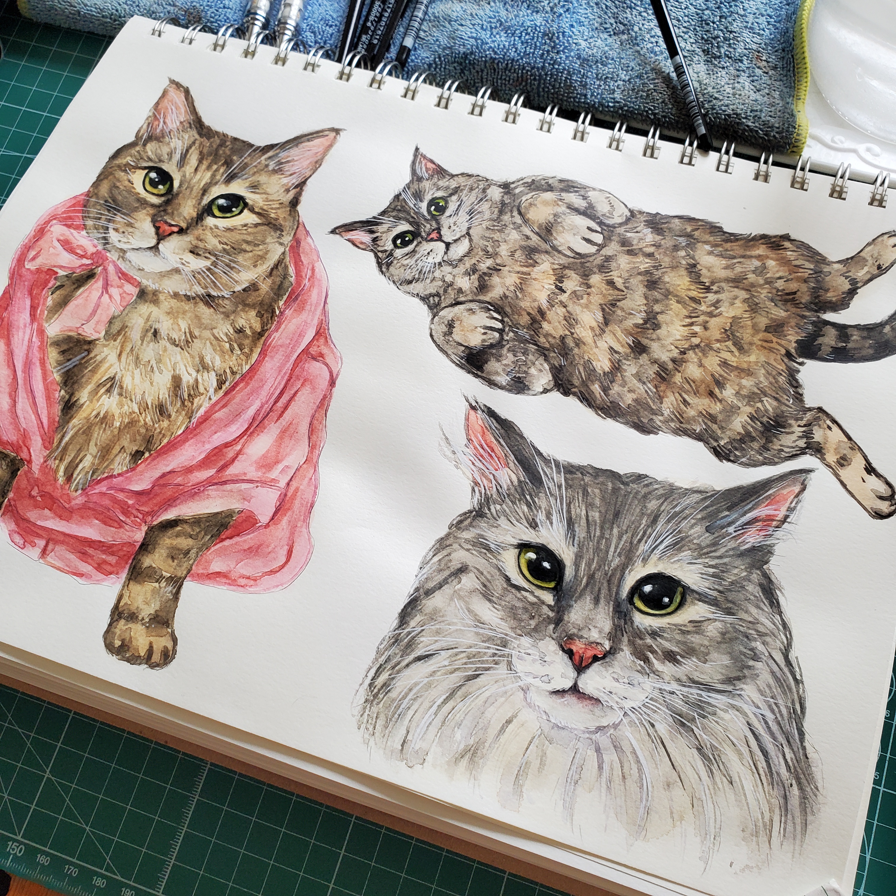 Take a look at my latest pet portraits!