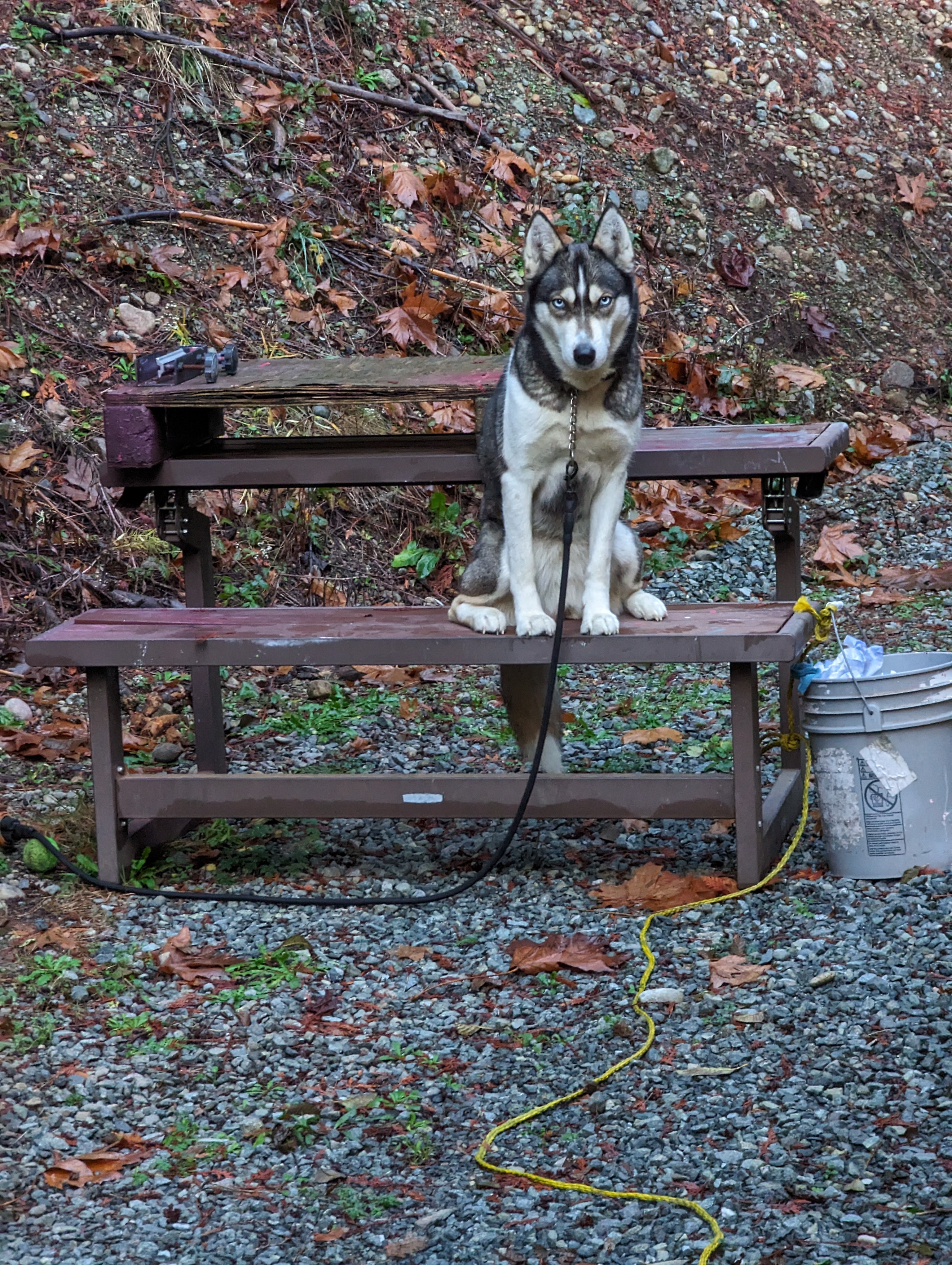 Judging from My Throne