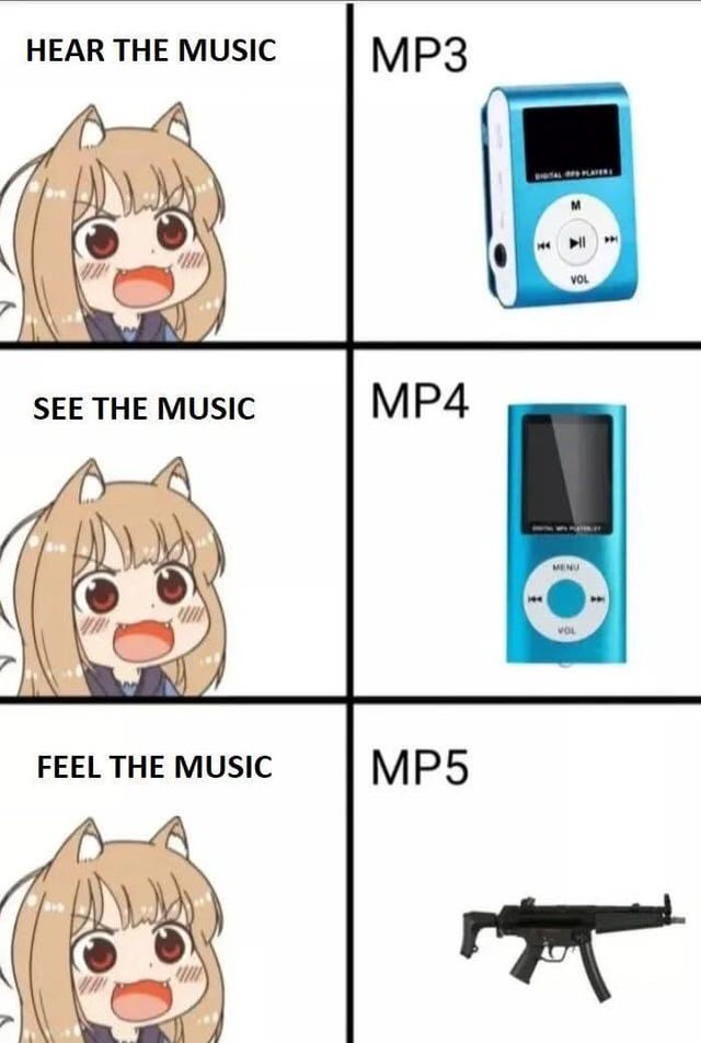 The Evolution of Music: A Memetic Journey