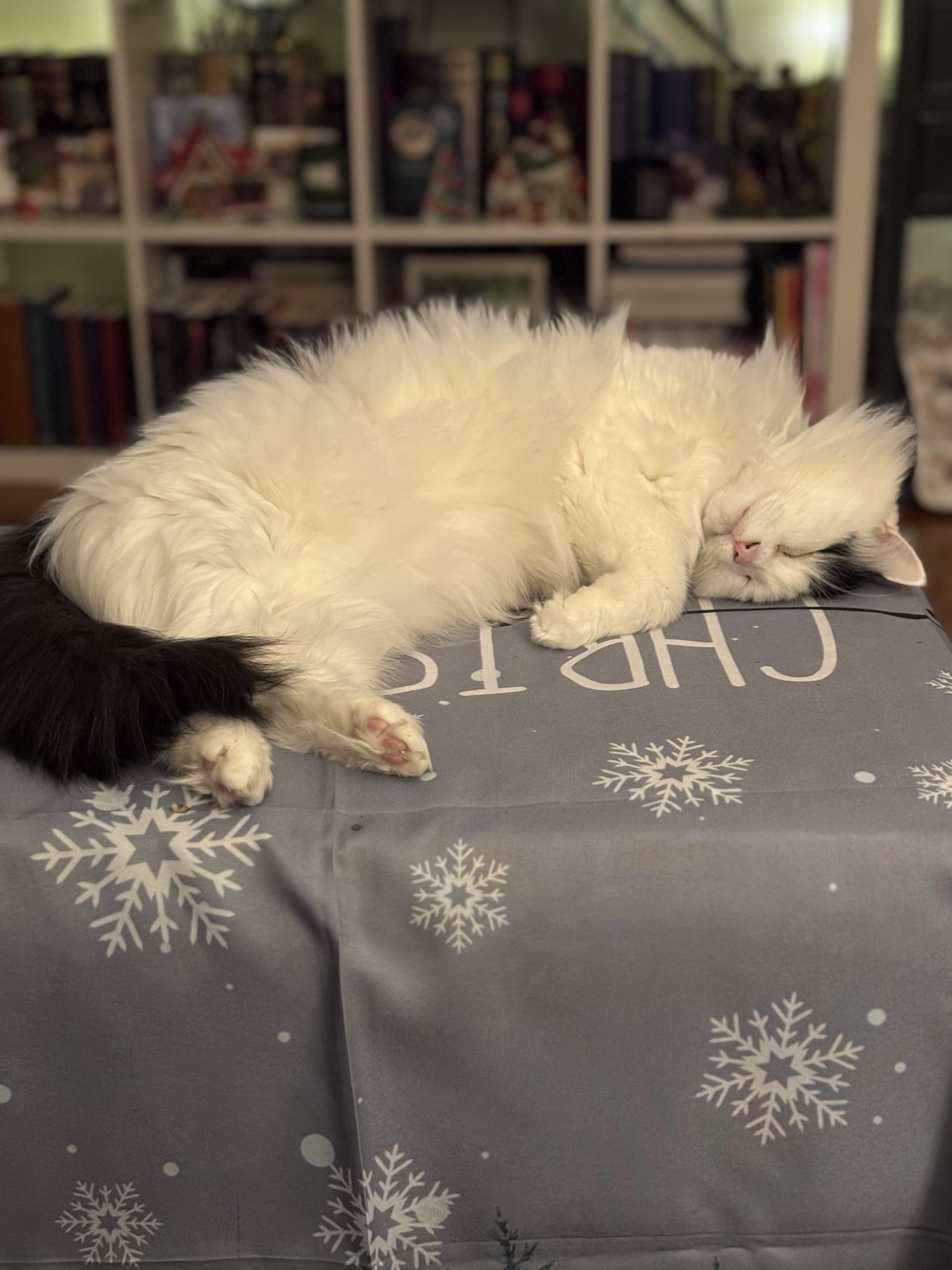 Imagining Salmon Dancing in His Dreams