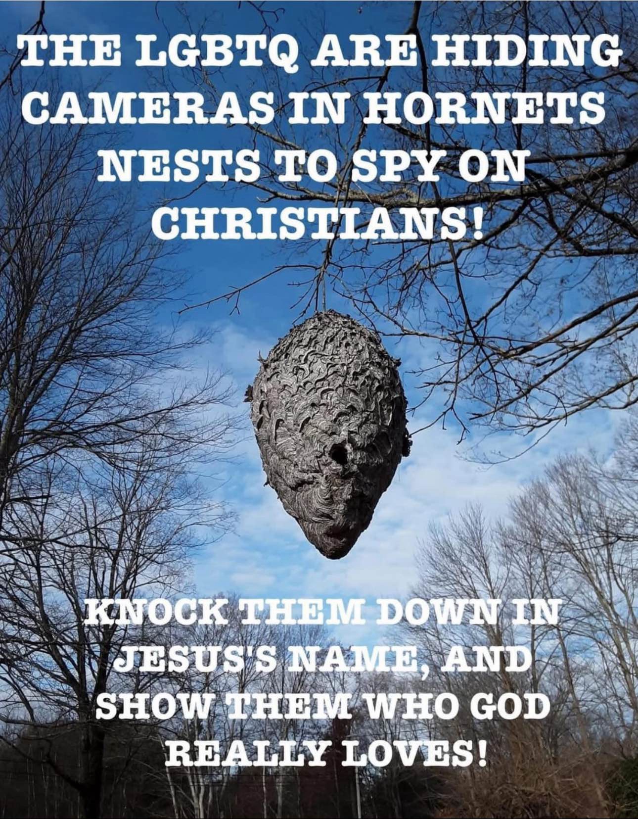 I also heard they’re installing spy cameras in lion dens and bear caves! Better check those out too!