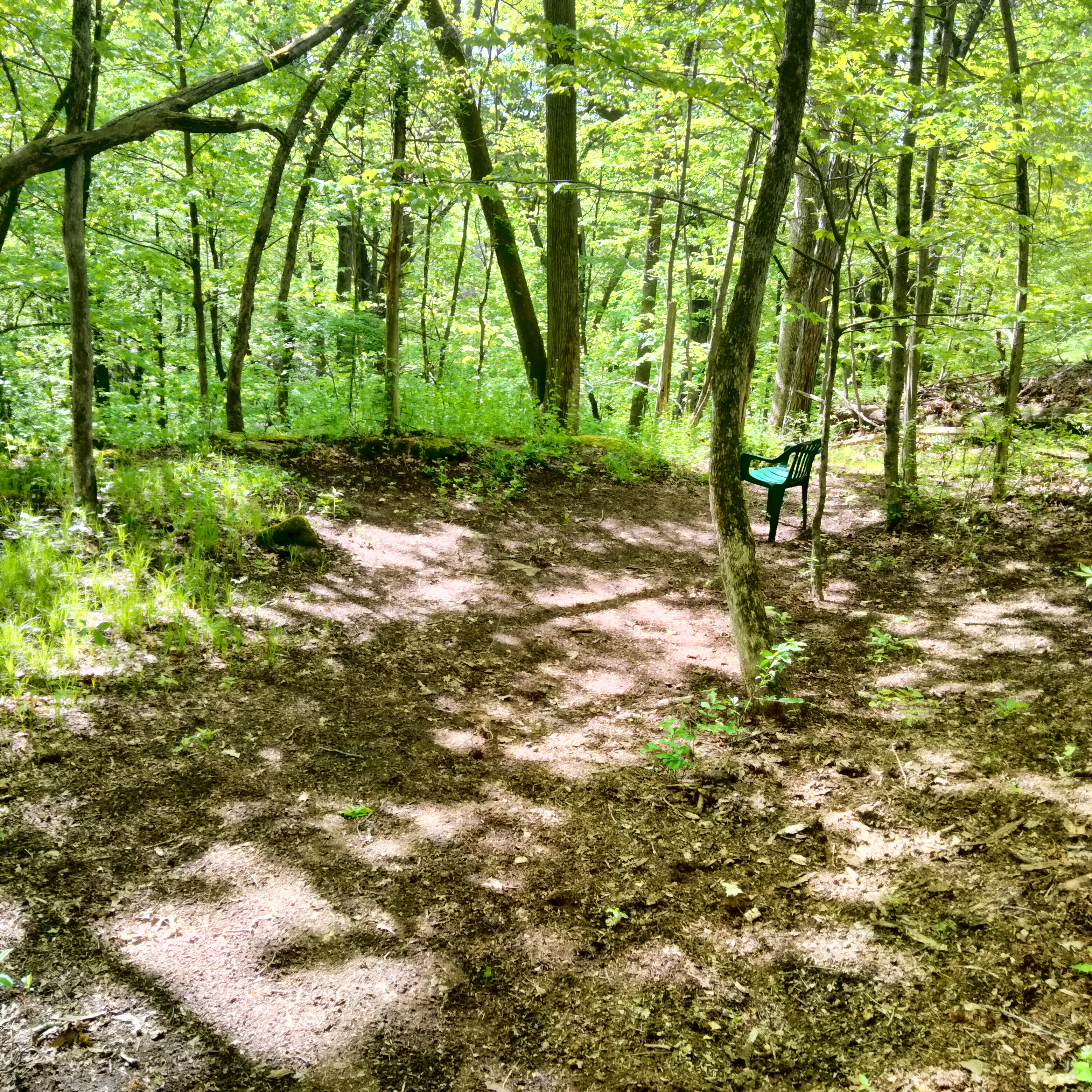 Finding Serenity: Discovering a Peaceful Retreat