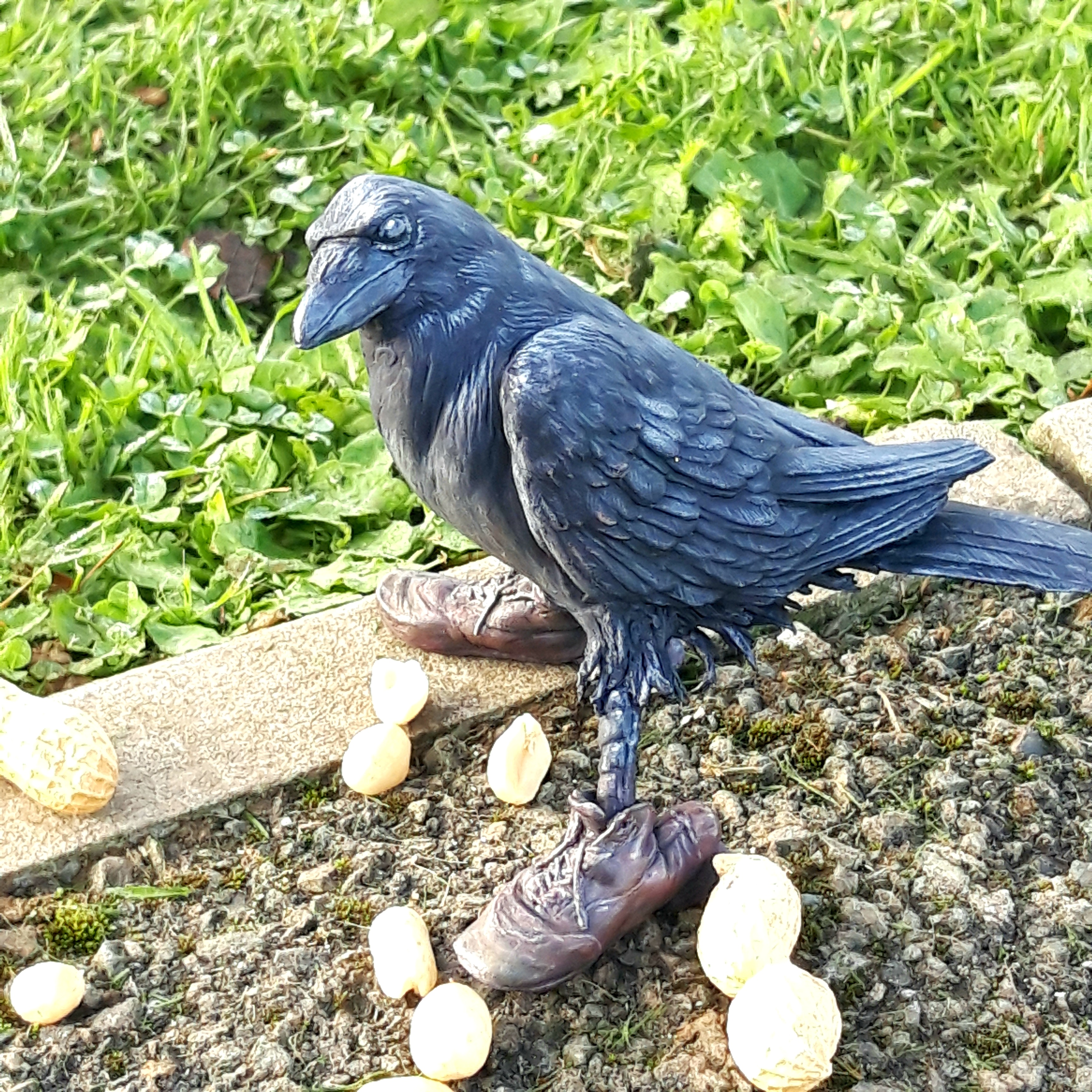 A stylish crow rocking some boots