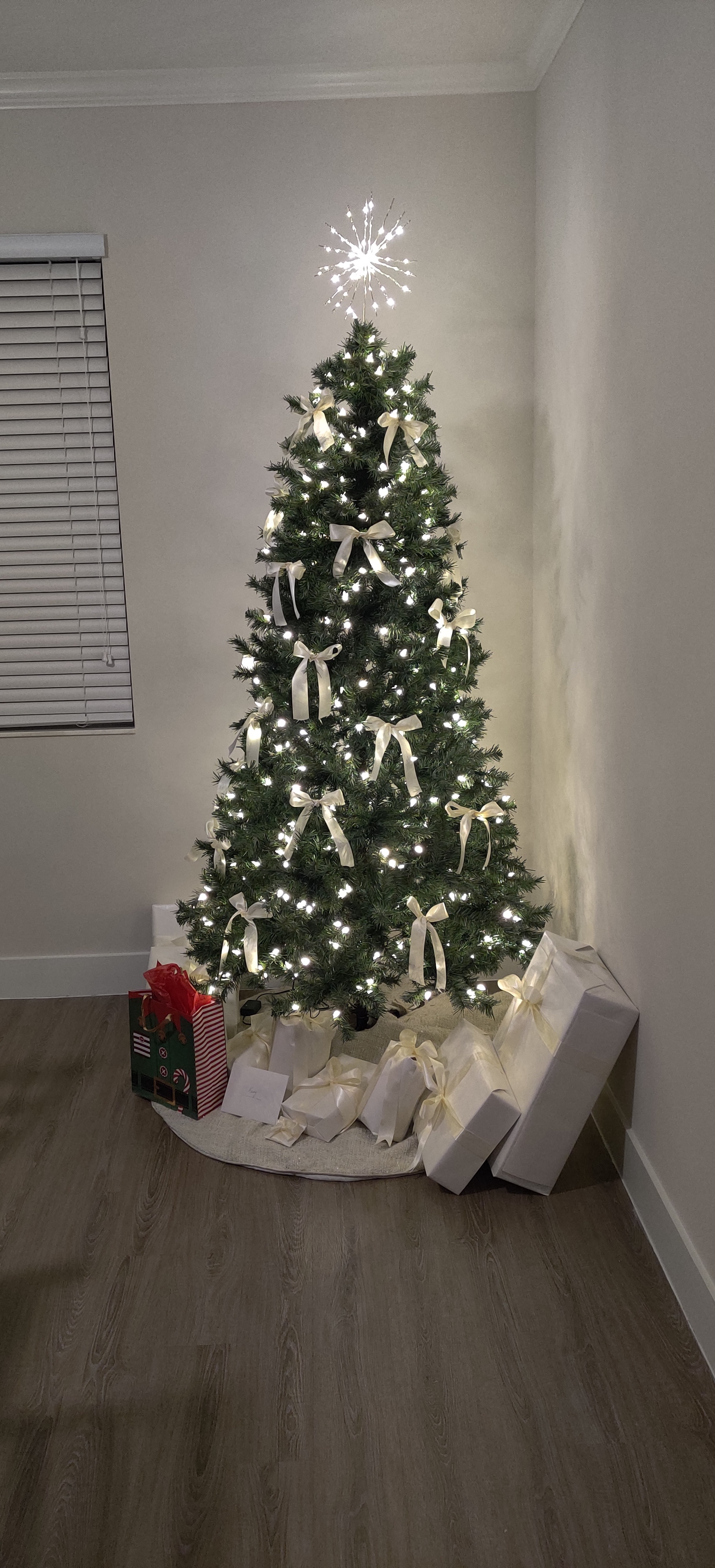 Wishing a Happy Christmas and a Merry New Year to all Imgurians!