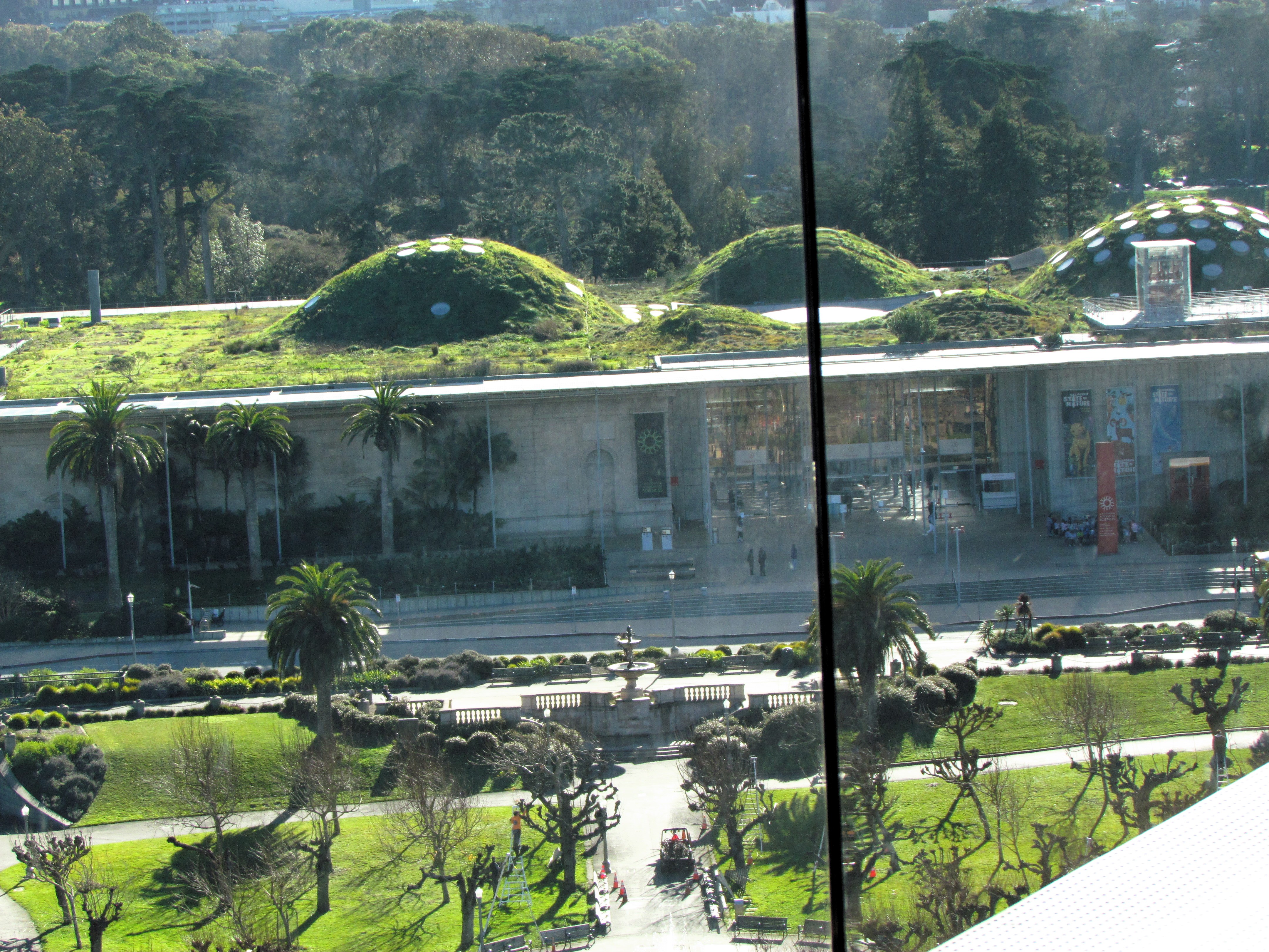 The Academy of Science: A Roof That Captivates