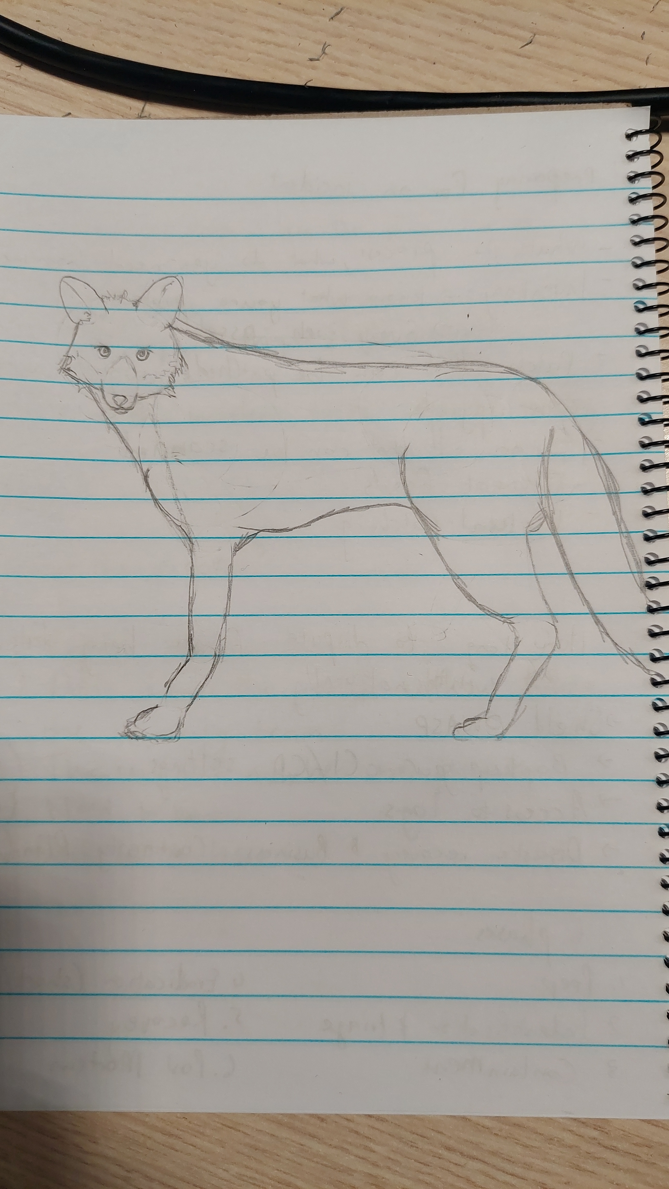 A Fox a Day: Chasing Away the Blues (Day 2)