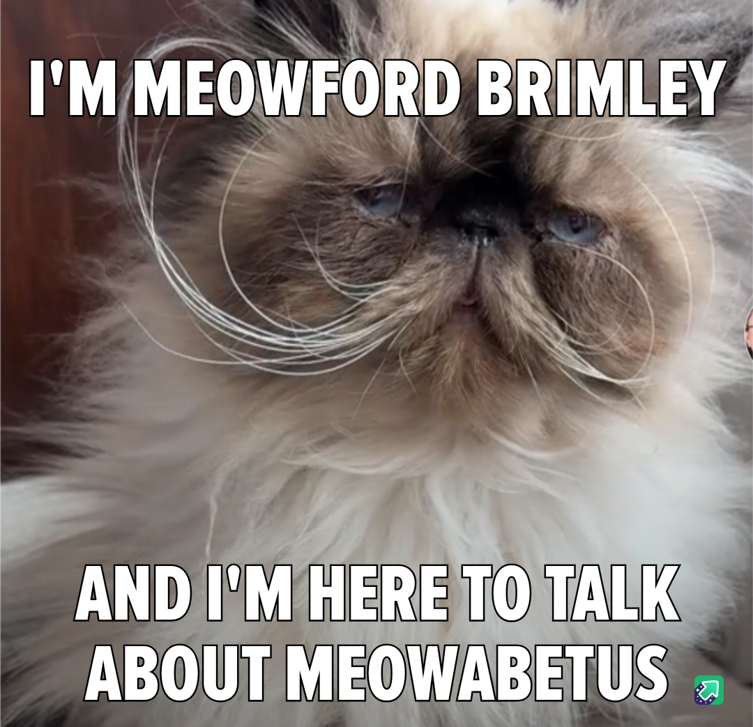 Meowford Brimley: The Feline Legend