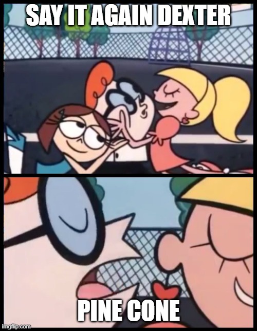 Oh, Dexter! What have you done now?