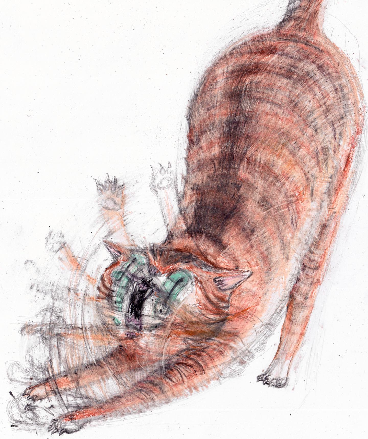 A Hilarious Look at Typical Cat Behavior by Leïo Forest