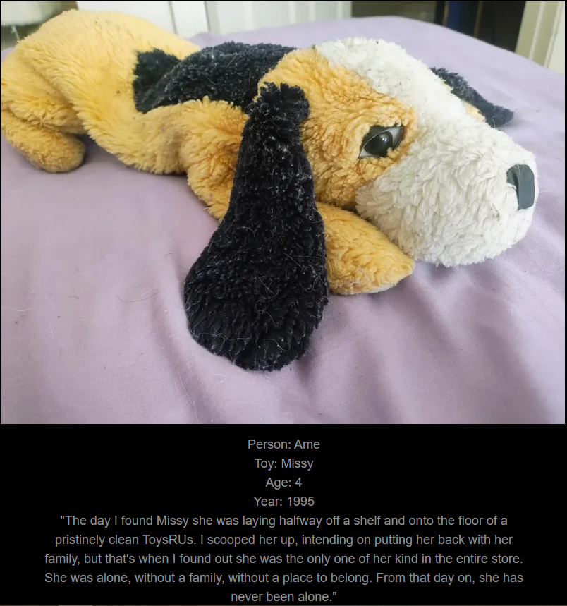 Day 763: Join Me on My Journey at www.saidtheskinhorse.com - Celebrating Our Cherished Childhood Toys with Missy, Our Newest Friend!