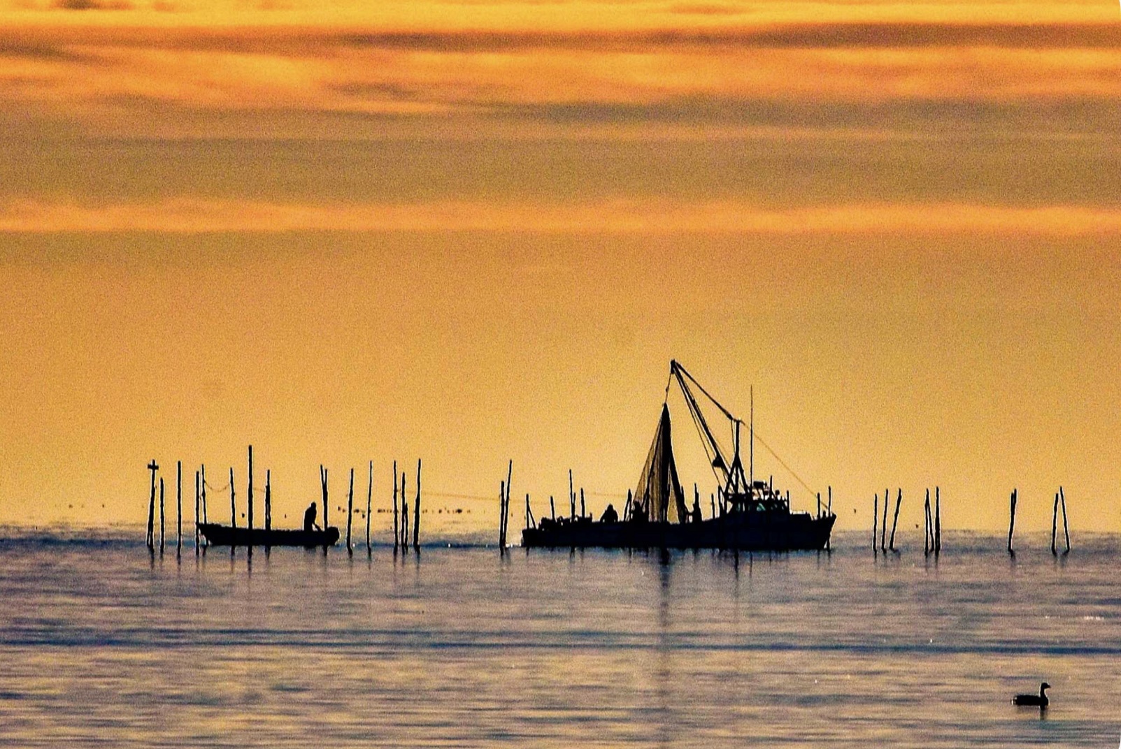 Breathtaking Sunrise Moments