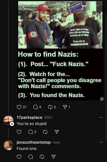 Spotting Nazis: A Guide to Identification