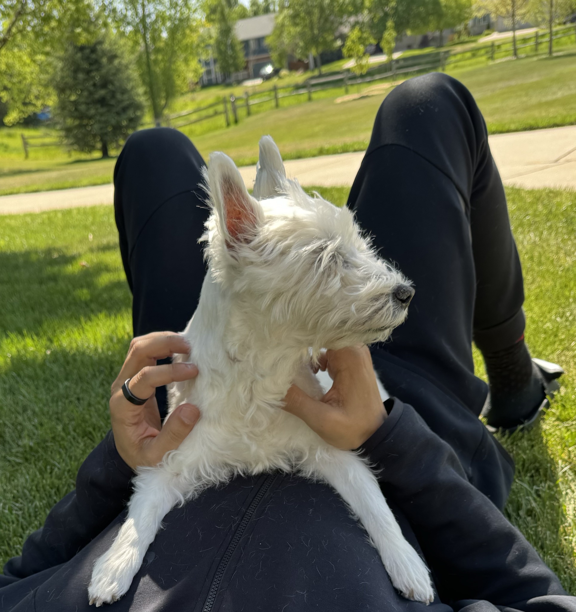 Cherishing Every Moment: Celebrating the Life of Lily Bella Daily