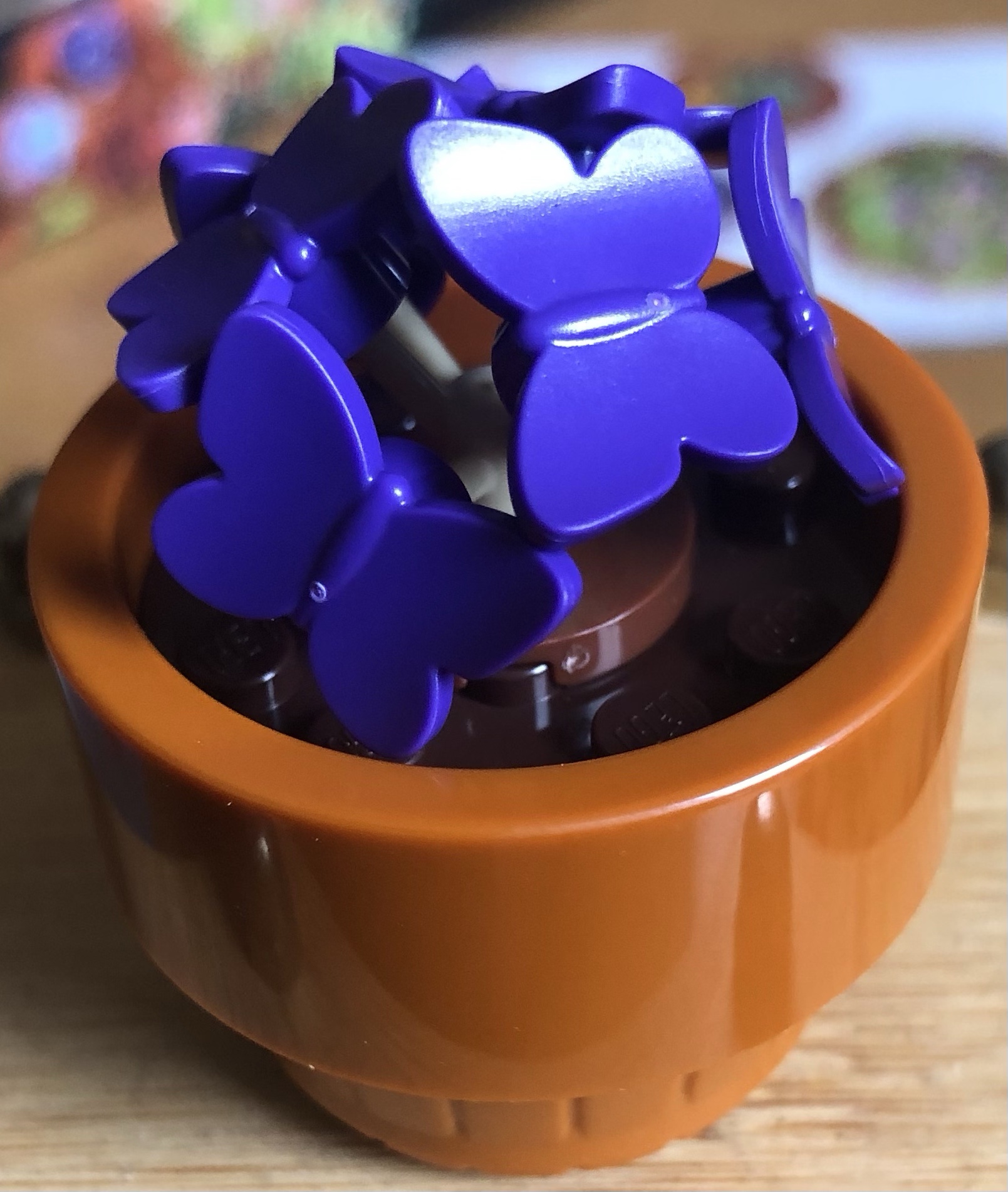 Discover the Unique Beauty of Oxalis Triangularis