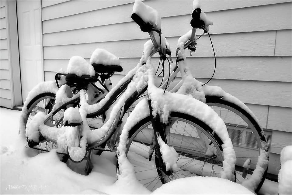 The Joy of Riding Bikes