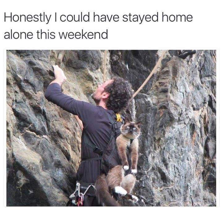 Just Hang Tight!