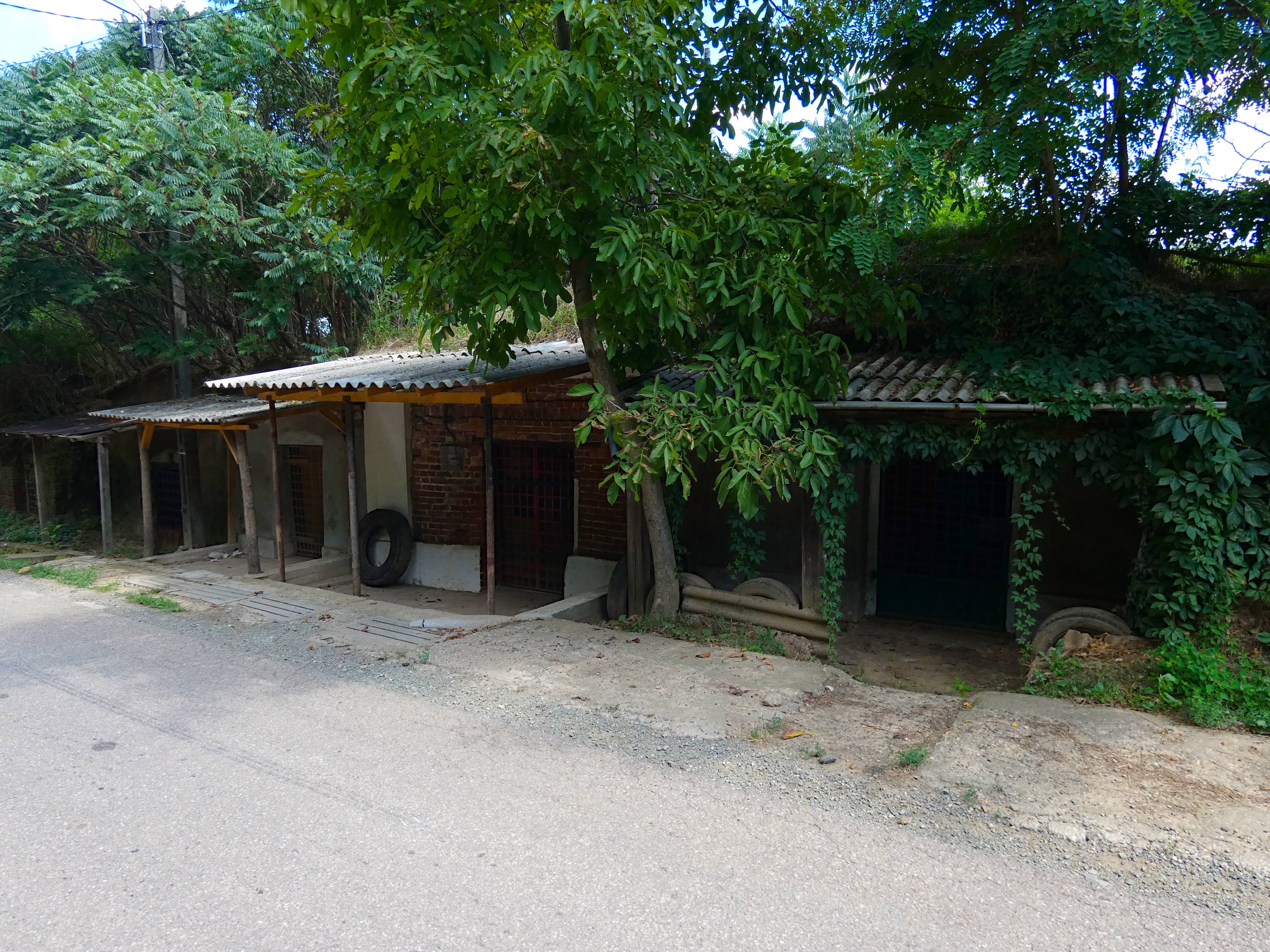 Charming roadside stalls hidden under weathered canopies in a lush paradise