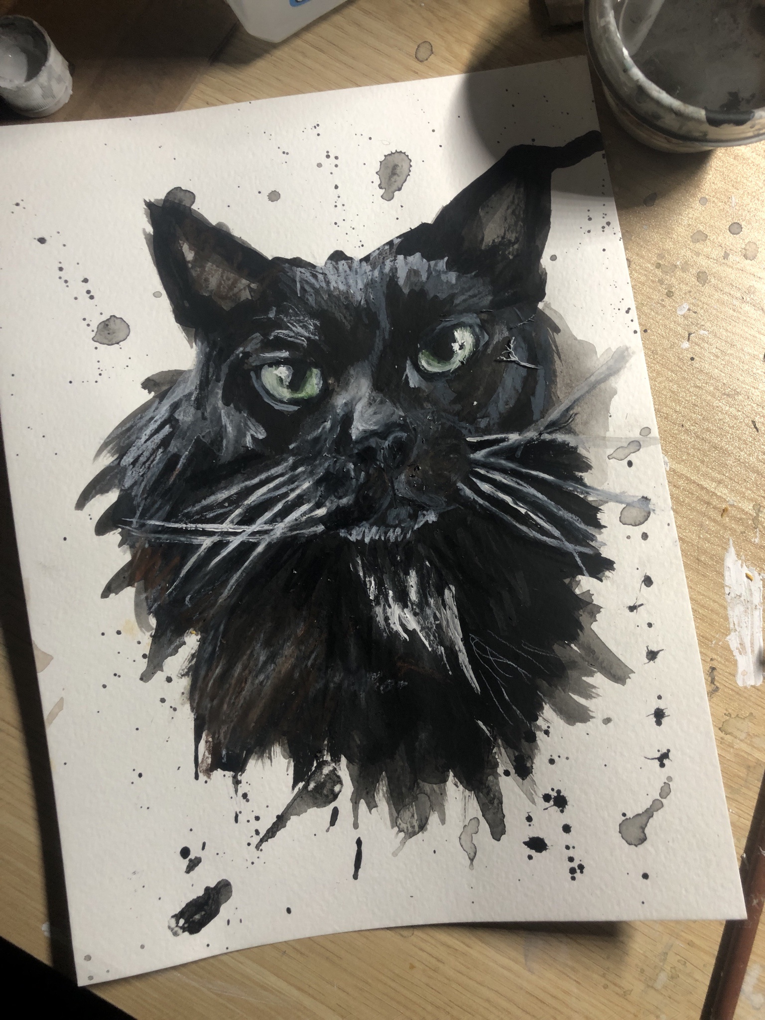 Introducing Dante: The Star of the Show!