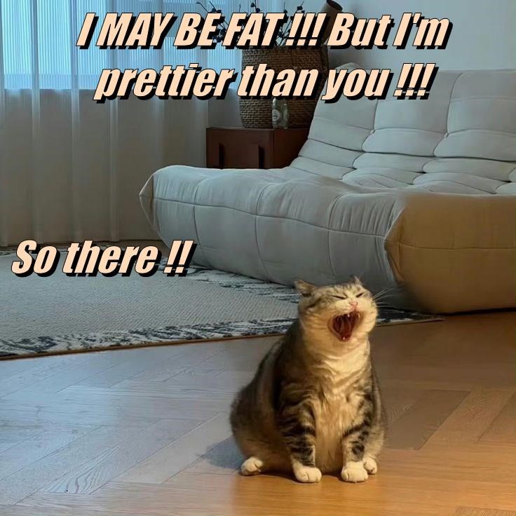 Never, ever call a 'floof' overweight!