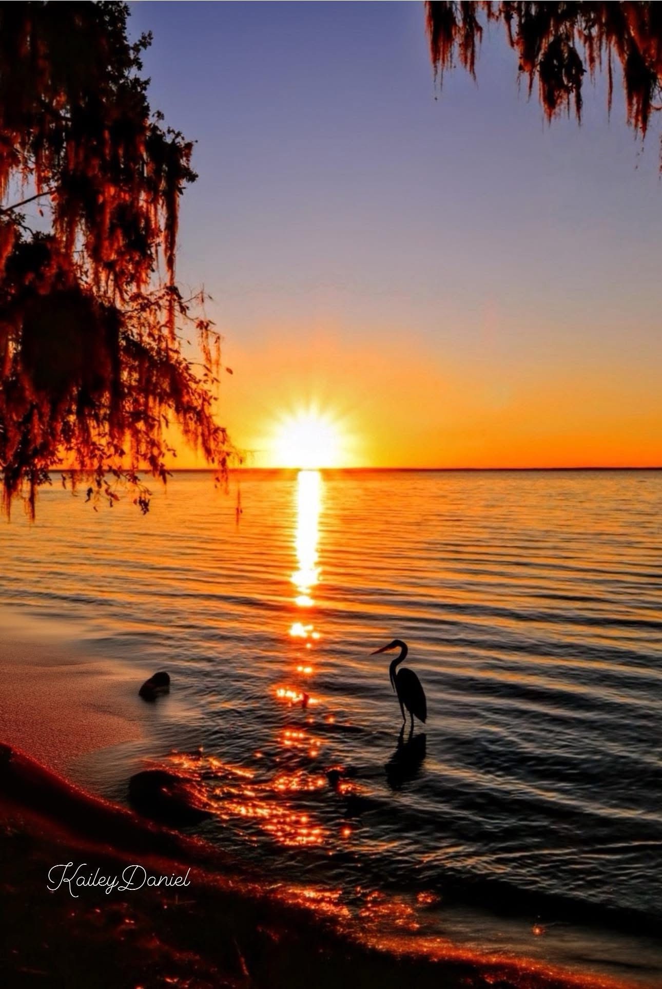 Breathtaking Sunset Moments