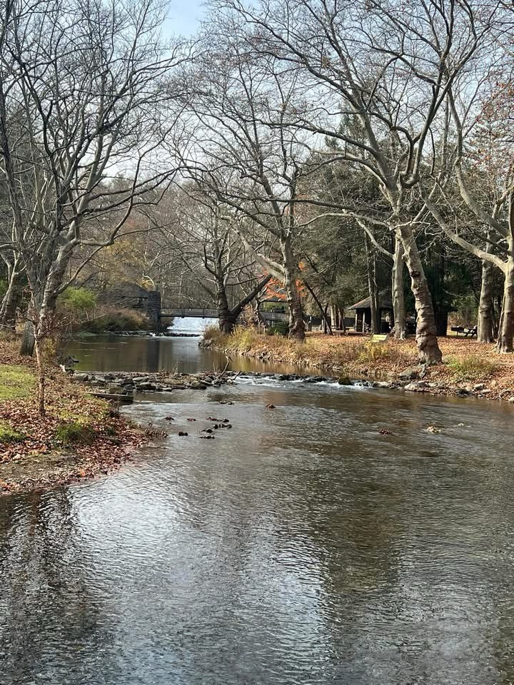The Tranquil Creek Escape