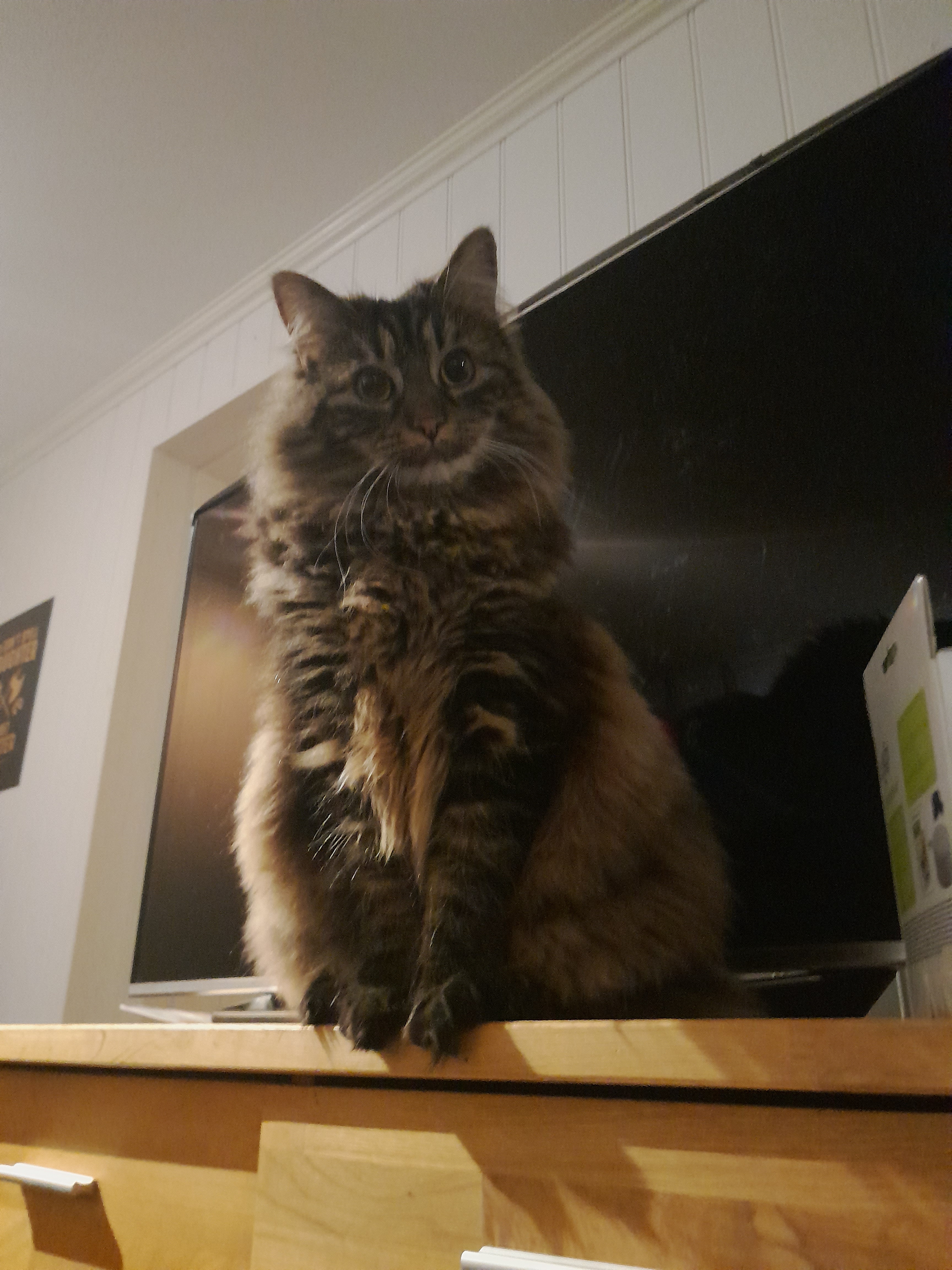 Hey there! :)