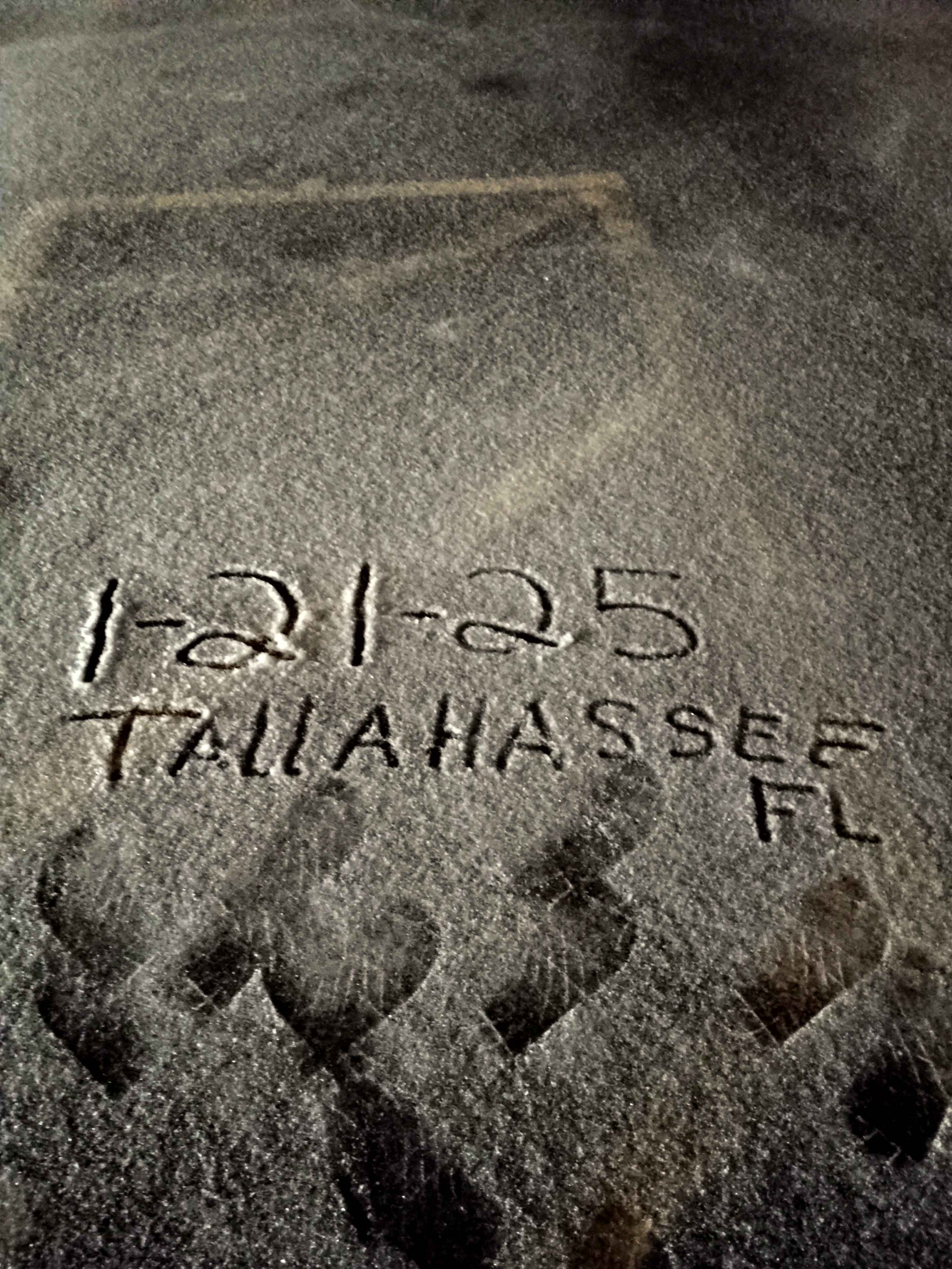 Surprise! Tallahassee experienced some snow and ice.