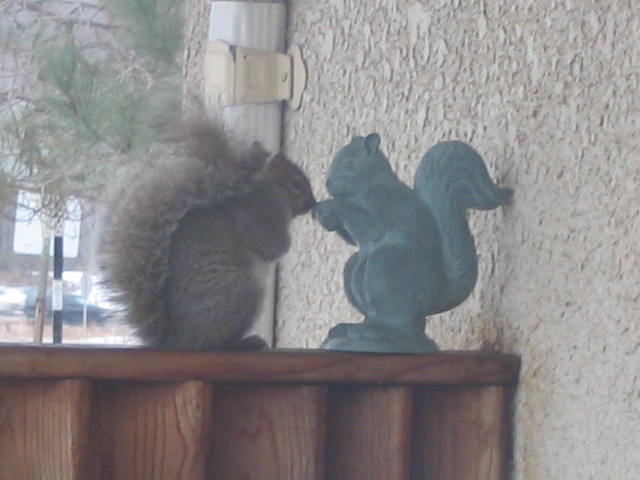 Oh Sciurus, Divine Squirrel Deity, I Offer My Prayers...