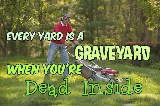 A collection of outdated and cringy memes