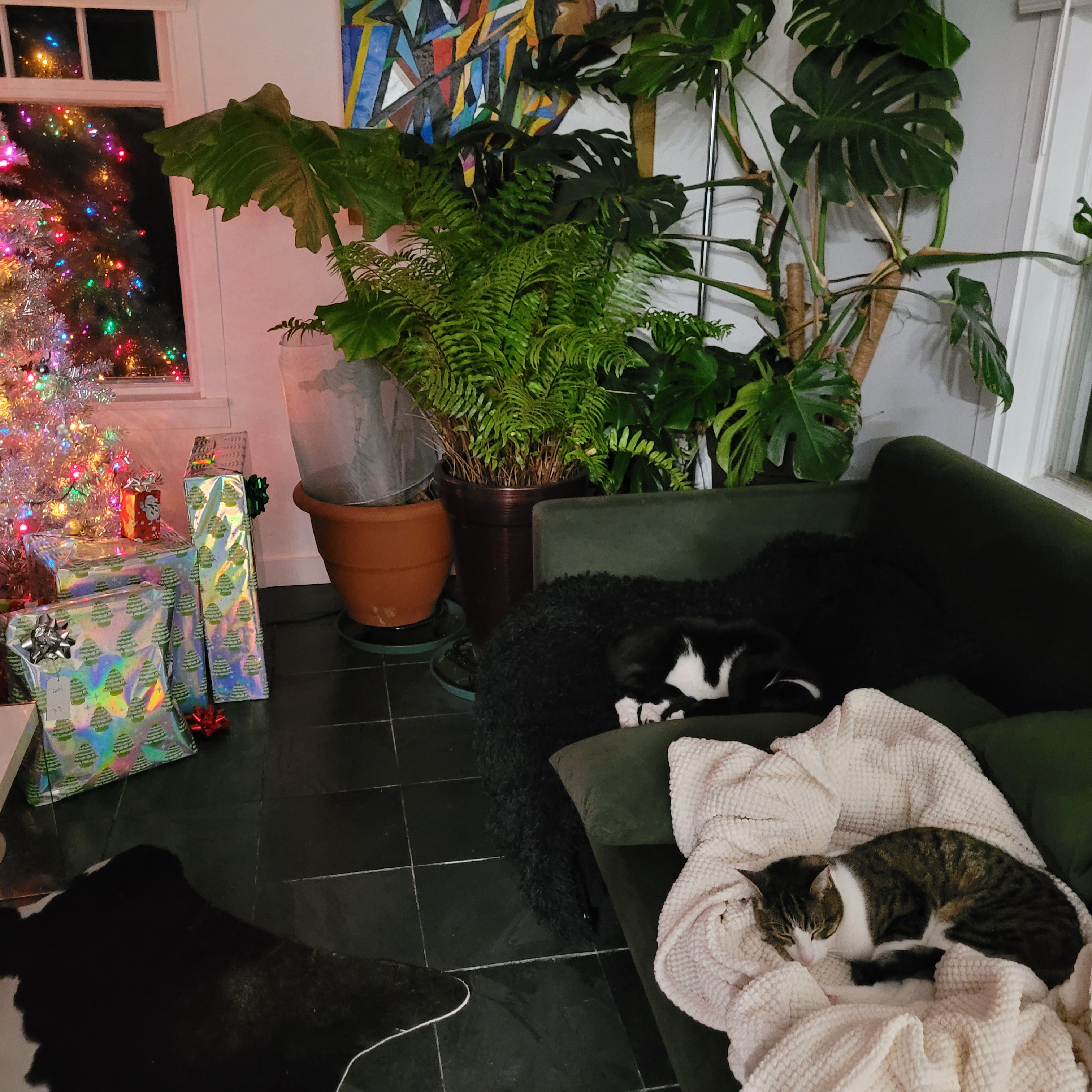 Two Boys, Cozy Blankets, a Couch, and a Festive Christmas Tree