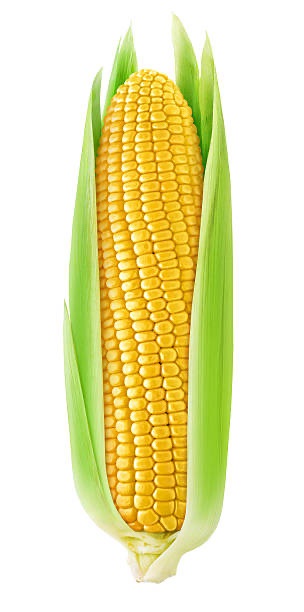 Go Team A Corn!!