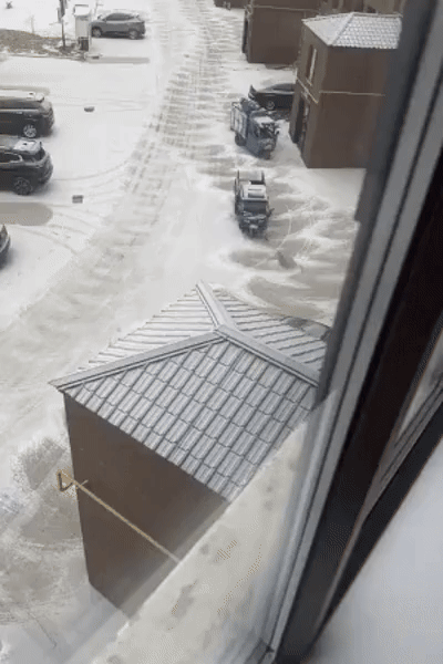 The Snow Blower Chronicles: A Chinese Adventure
