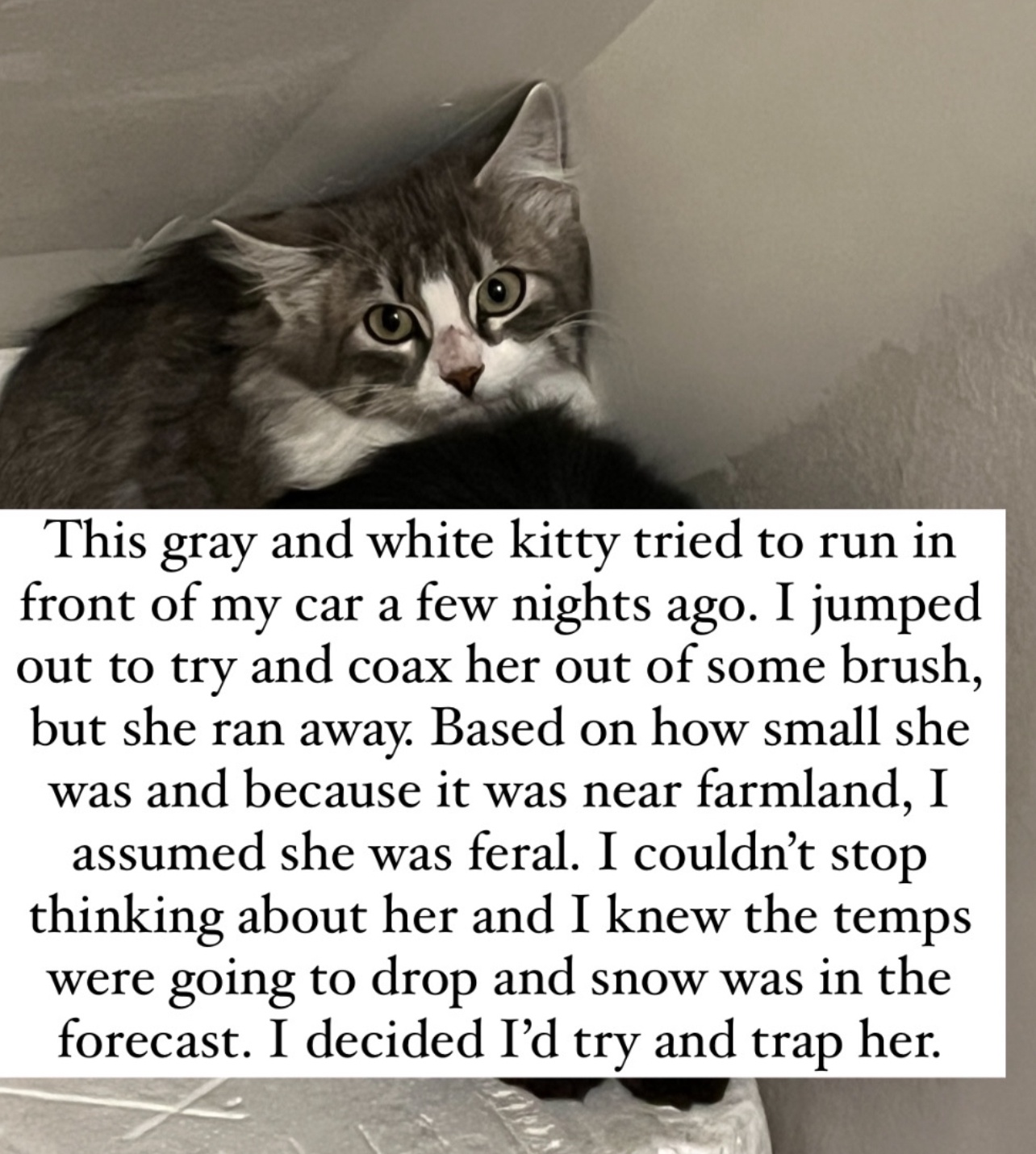 I'm in Need of Some Assistance