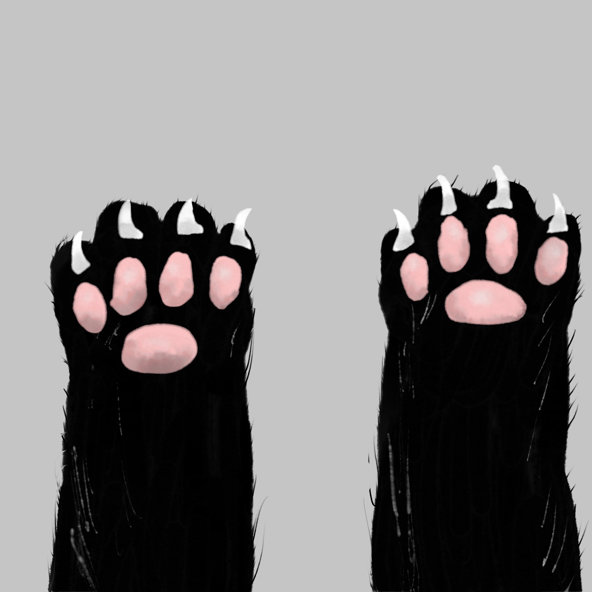 Cuteness Overload: Paws Edition